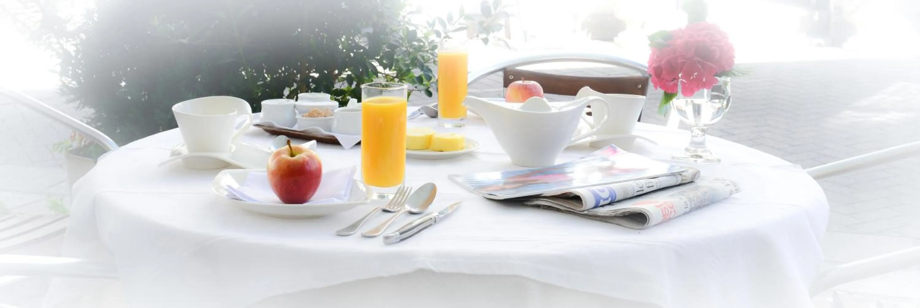 Logis Hôtel et Restaurant du Dauphin