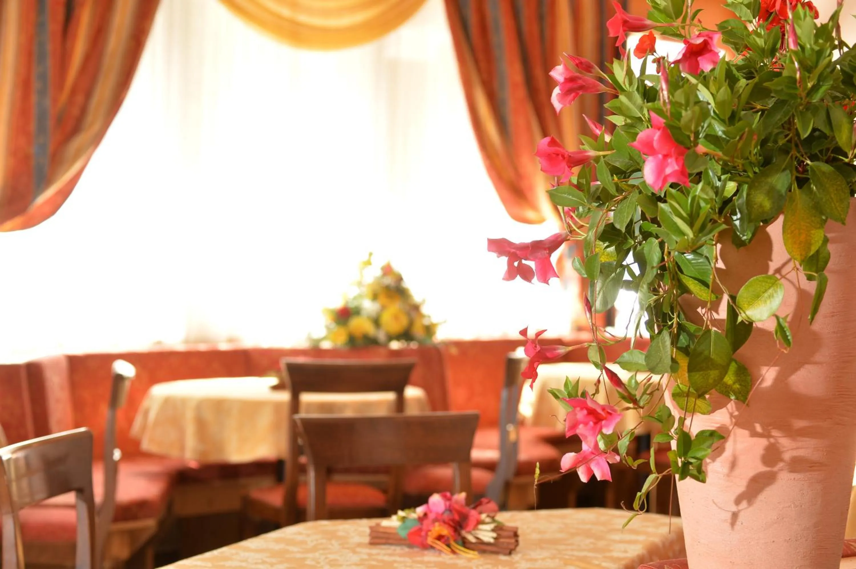 Mountain view in Hotel Dalla Serra