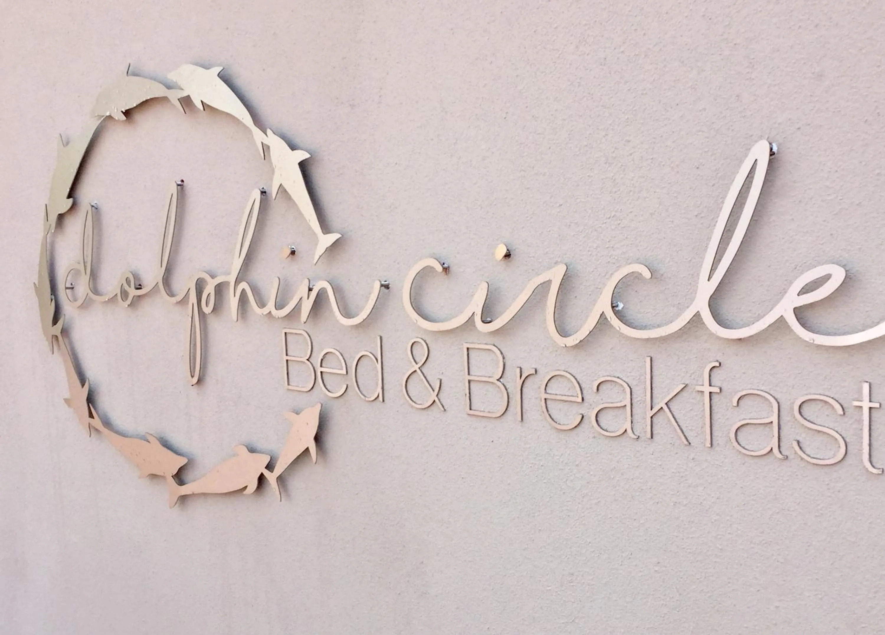 Dolphin Circle Bed and Breakfast