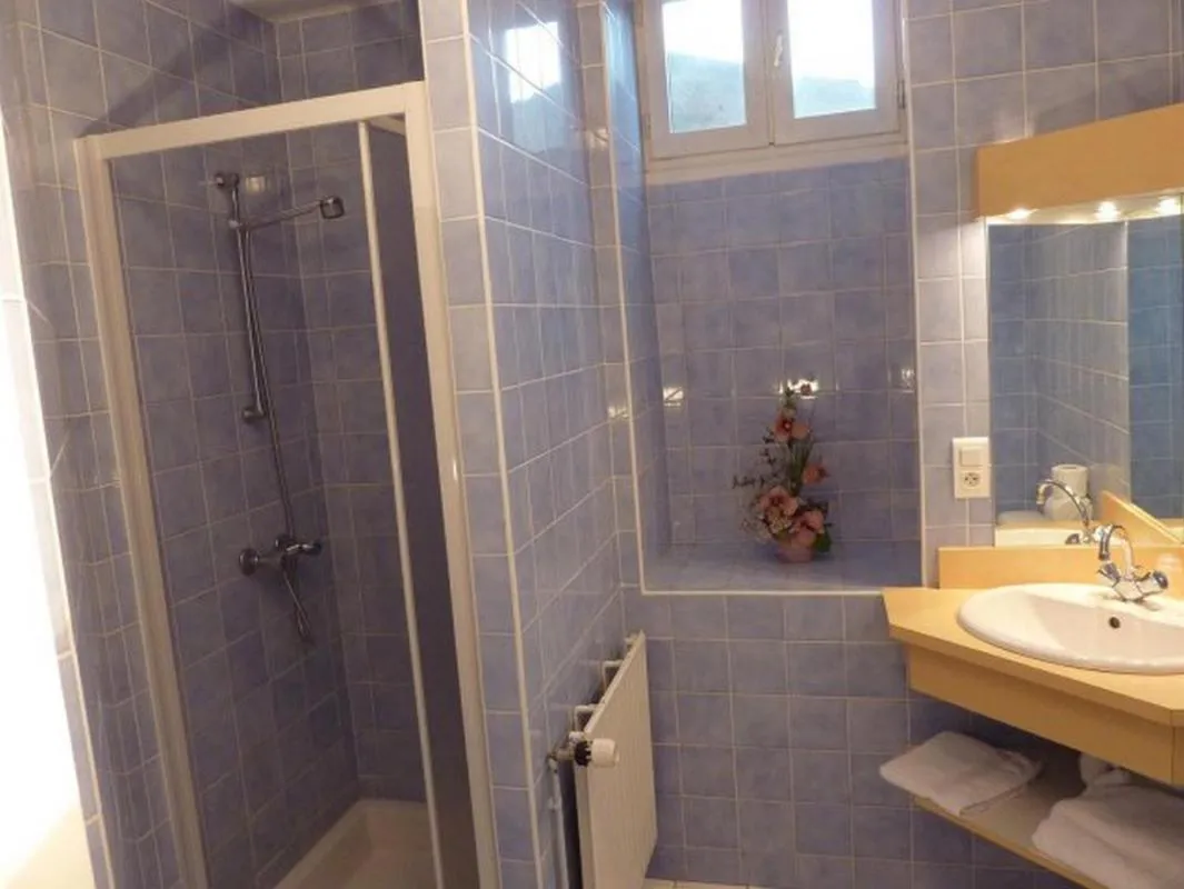 Bathroom in Hôtel Restaurant du Pont-Vieux