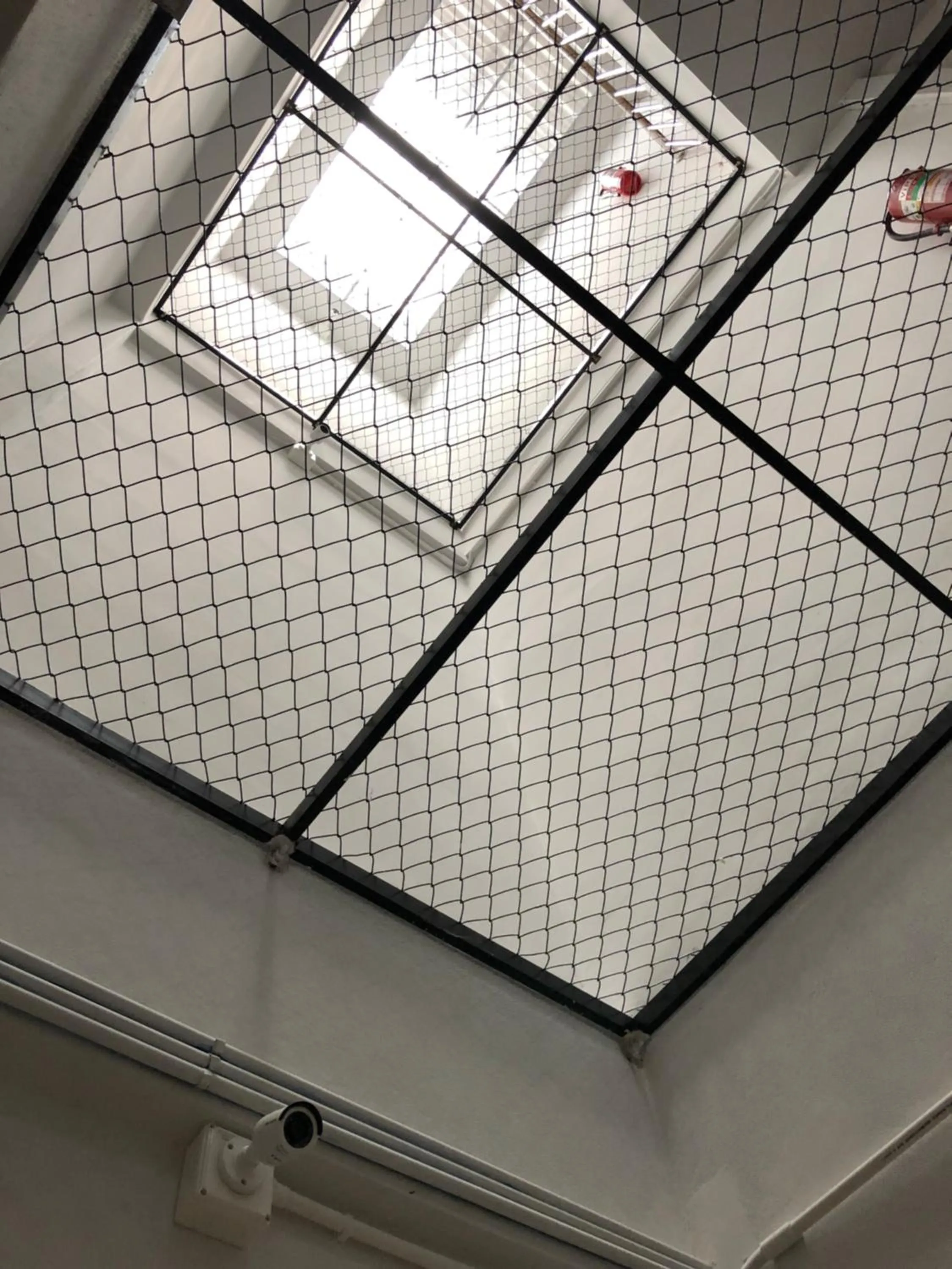 Property building in Rabbit Hotel