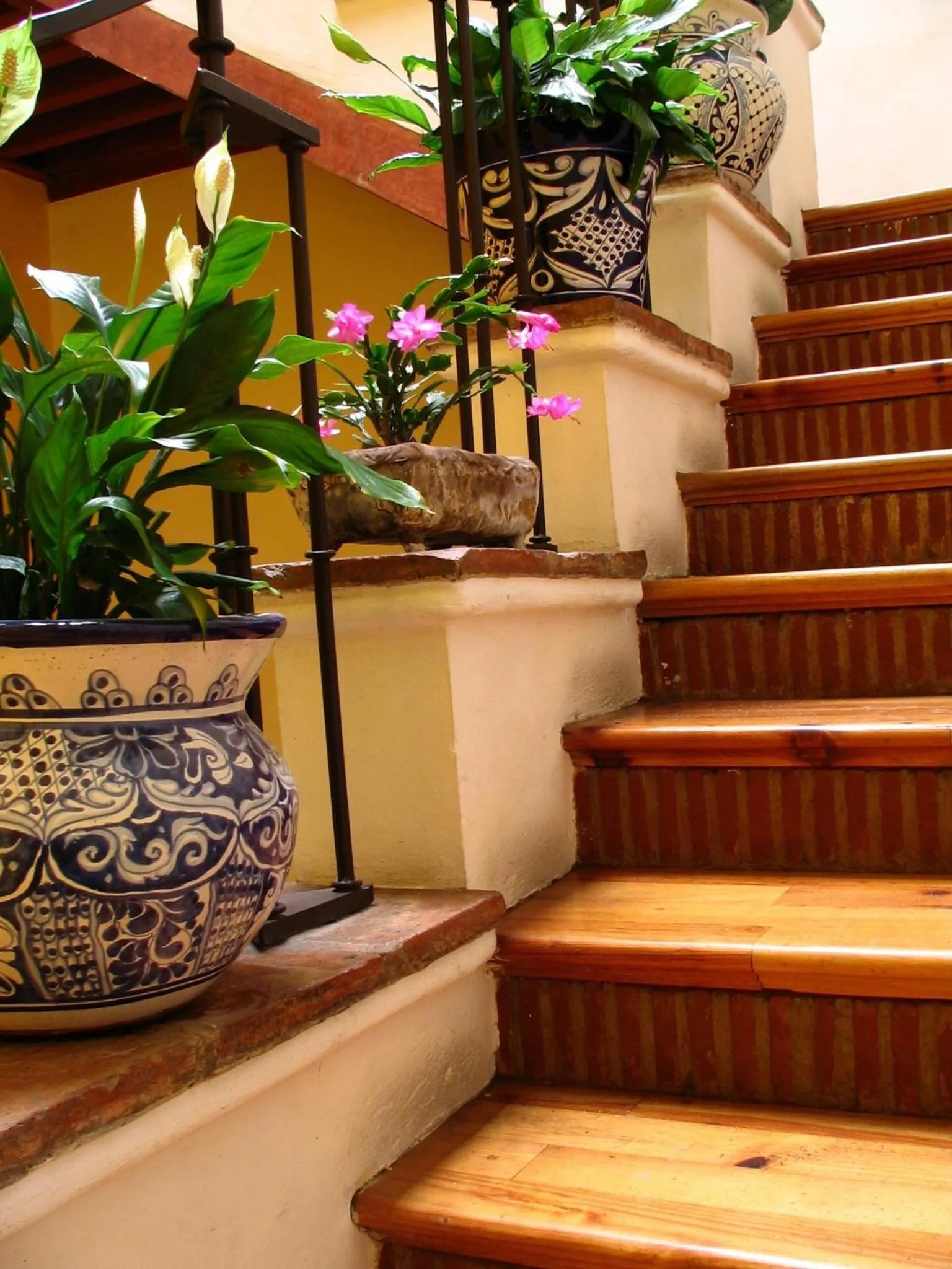 View (from property/room) in Quinta Luna