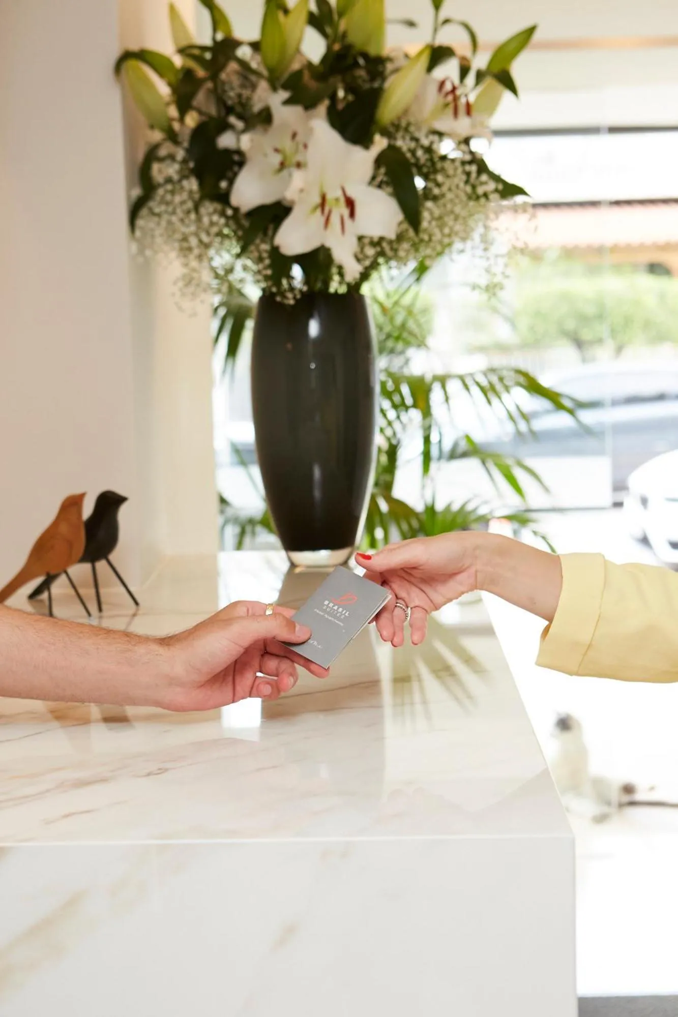 Lobby or reception in Brasil Suites Boutique Hotel
