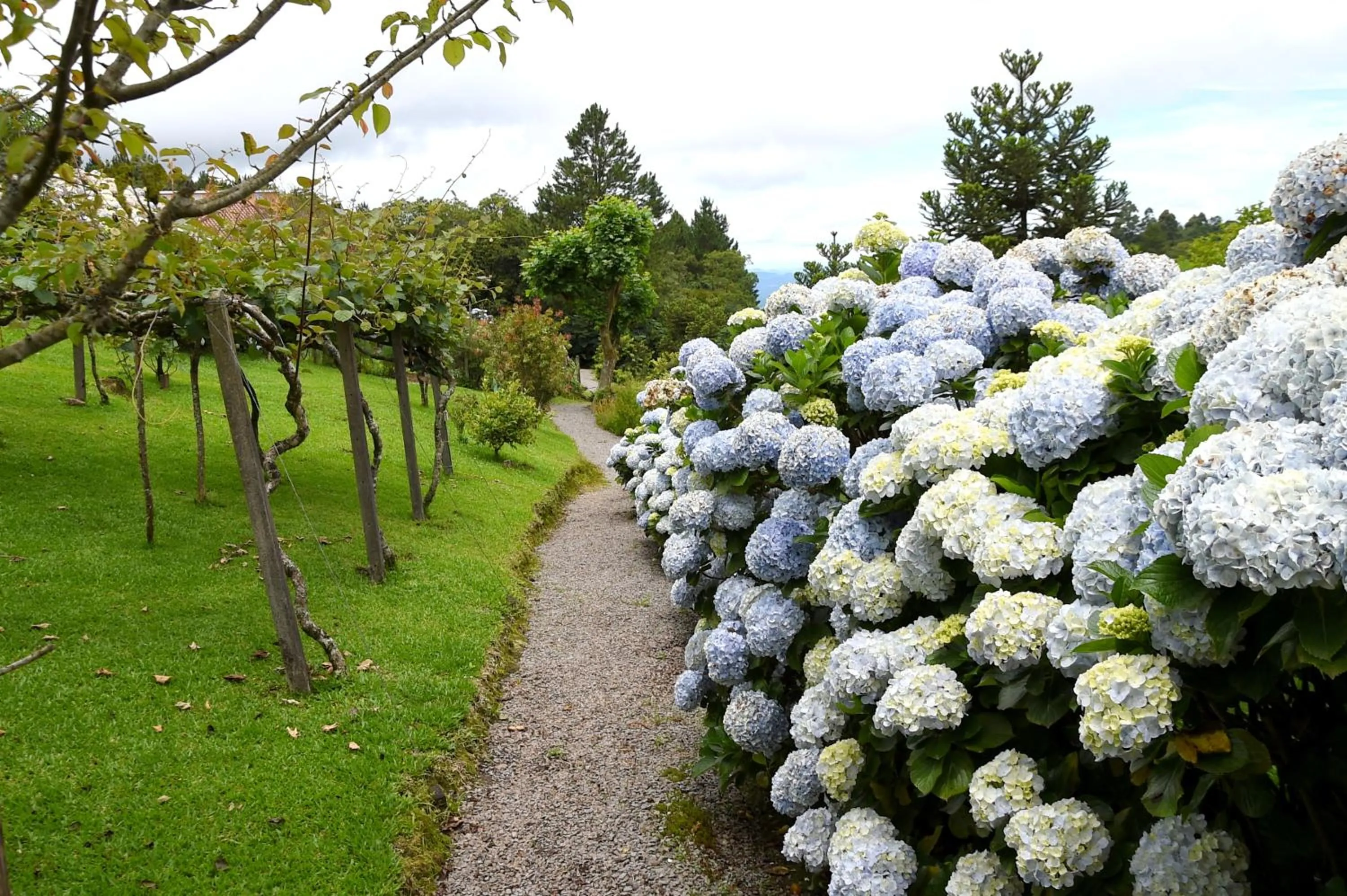 Garden in Hotel Bangalôs da Serra