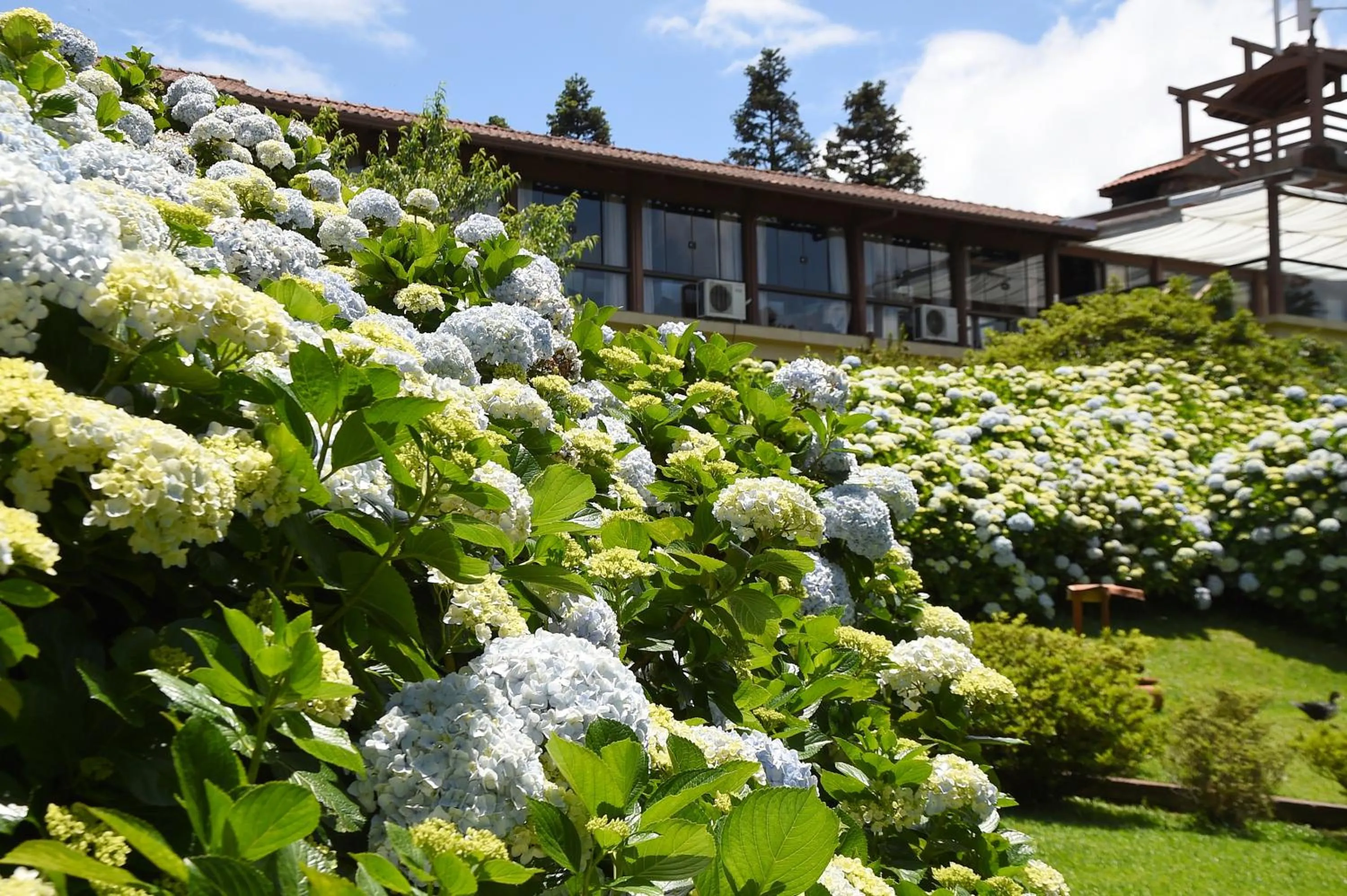 Spring in Hotel Bangalôs da Serra