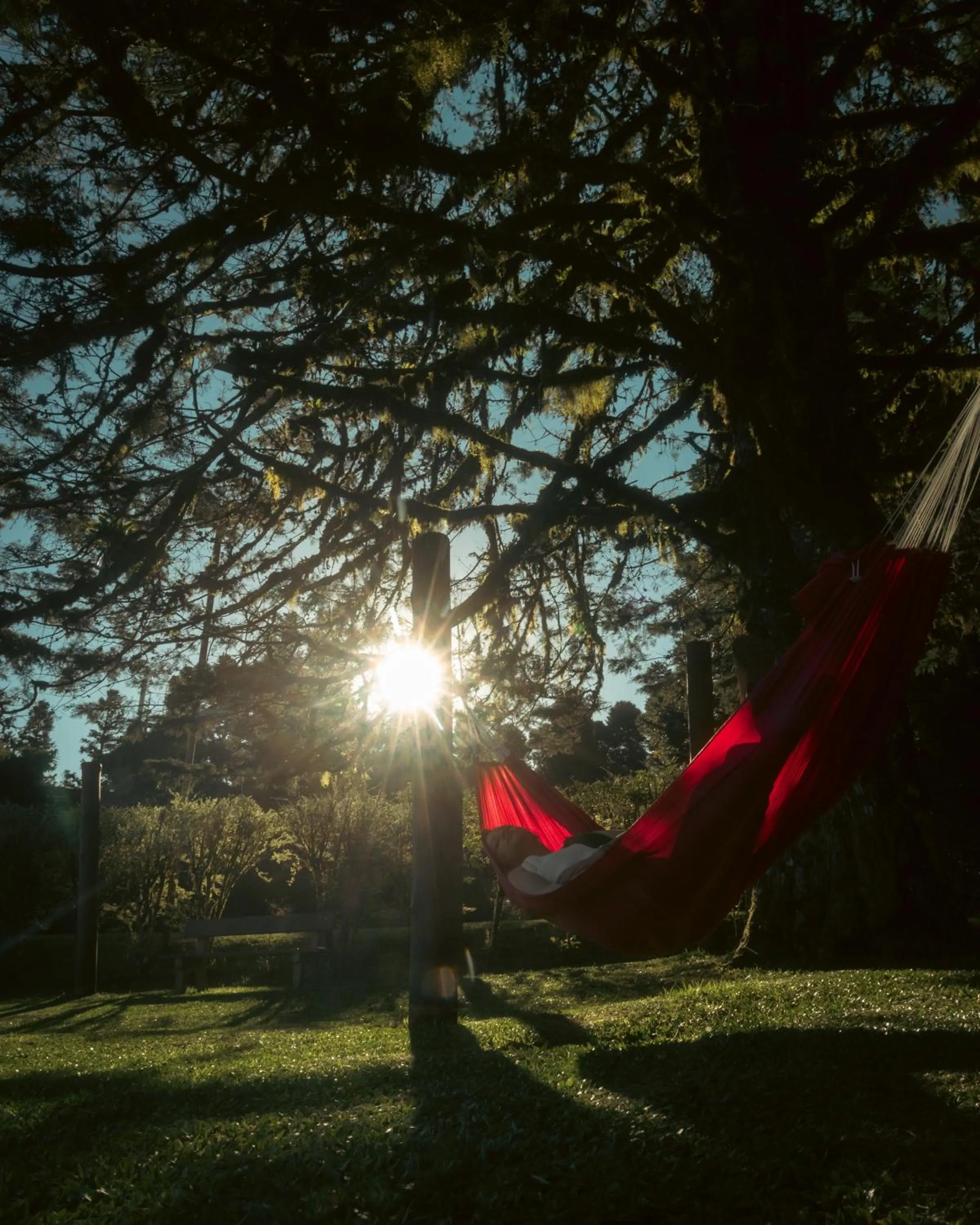Garden in Hotel Bangalôs da Serra