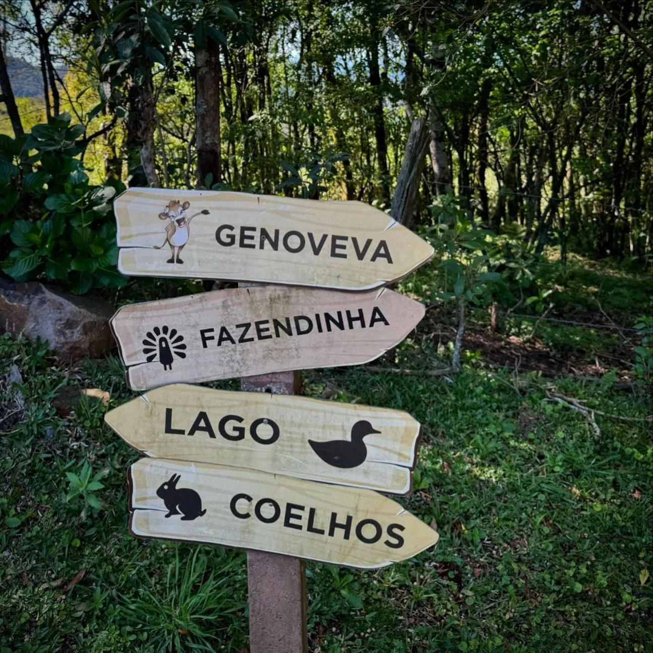 Natural landscape in Hotel Bangalôs da Serra