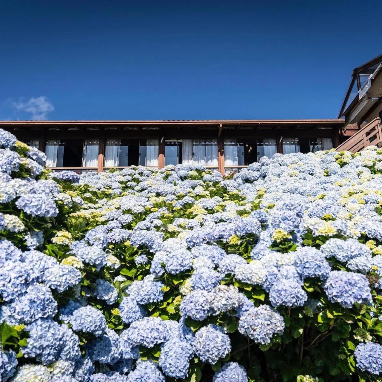 Property building in Hotel Bangalôs da Serra