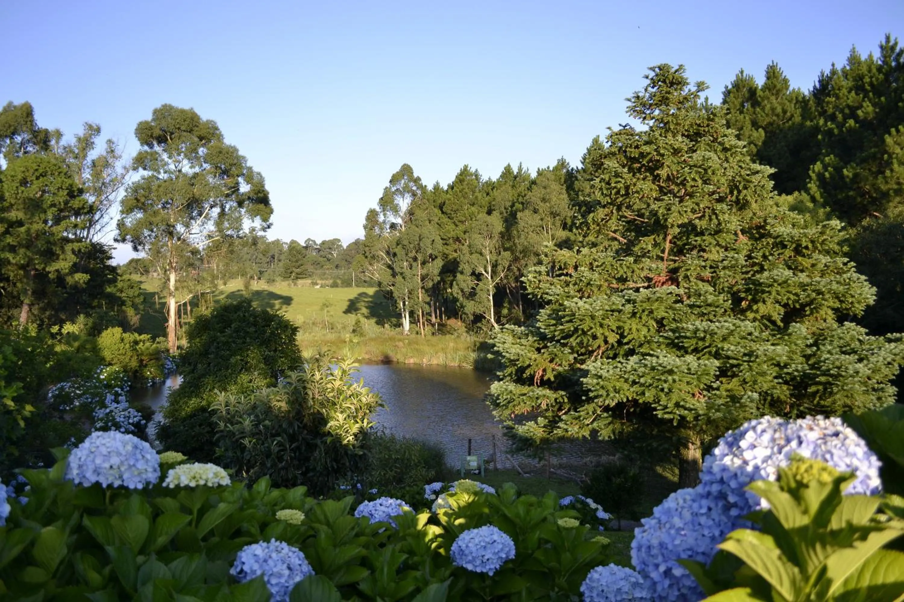 Other in Hotel Bangalôs da Serra