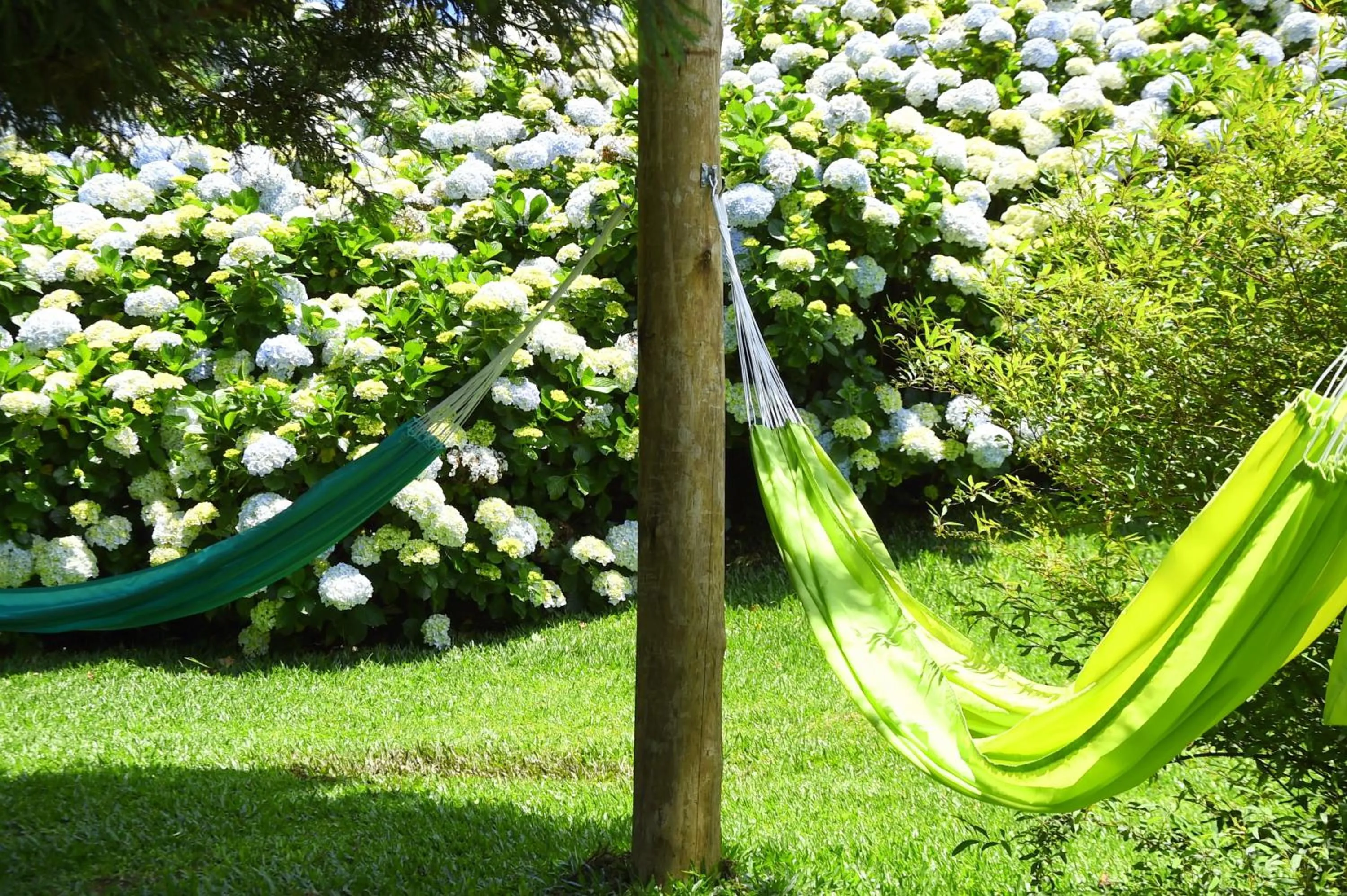 Garden in Hotel Bangalôs da Serra