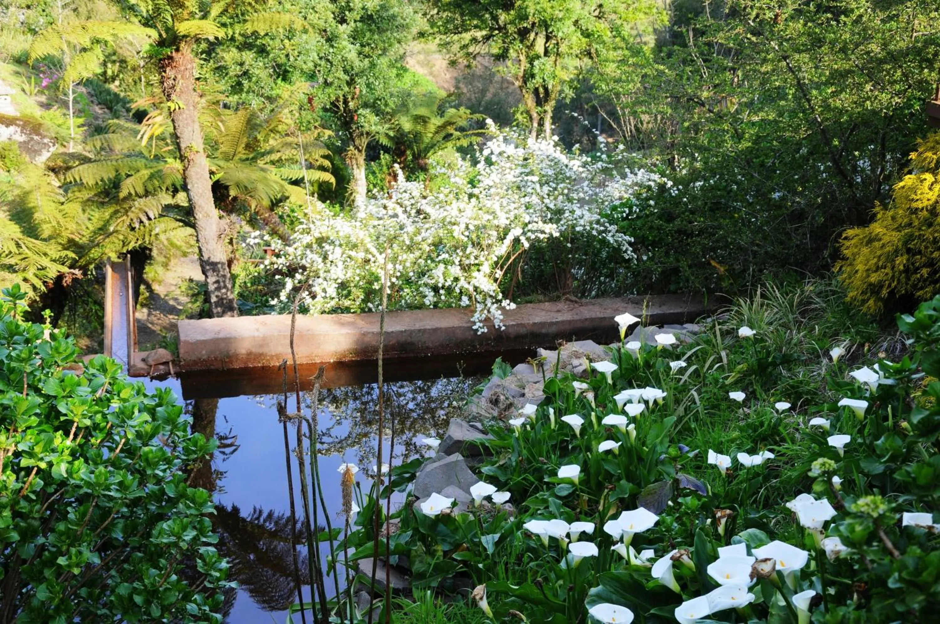 Garden in Hotel Bangalôs da Serra