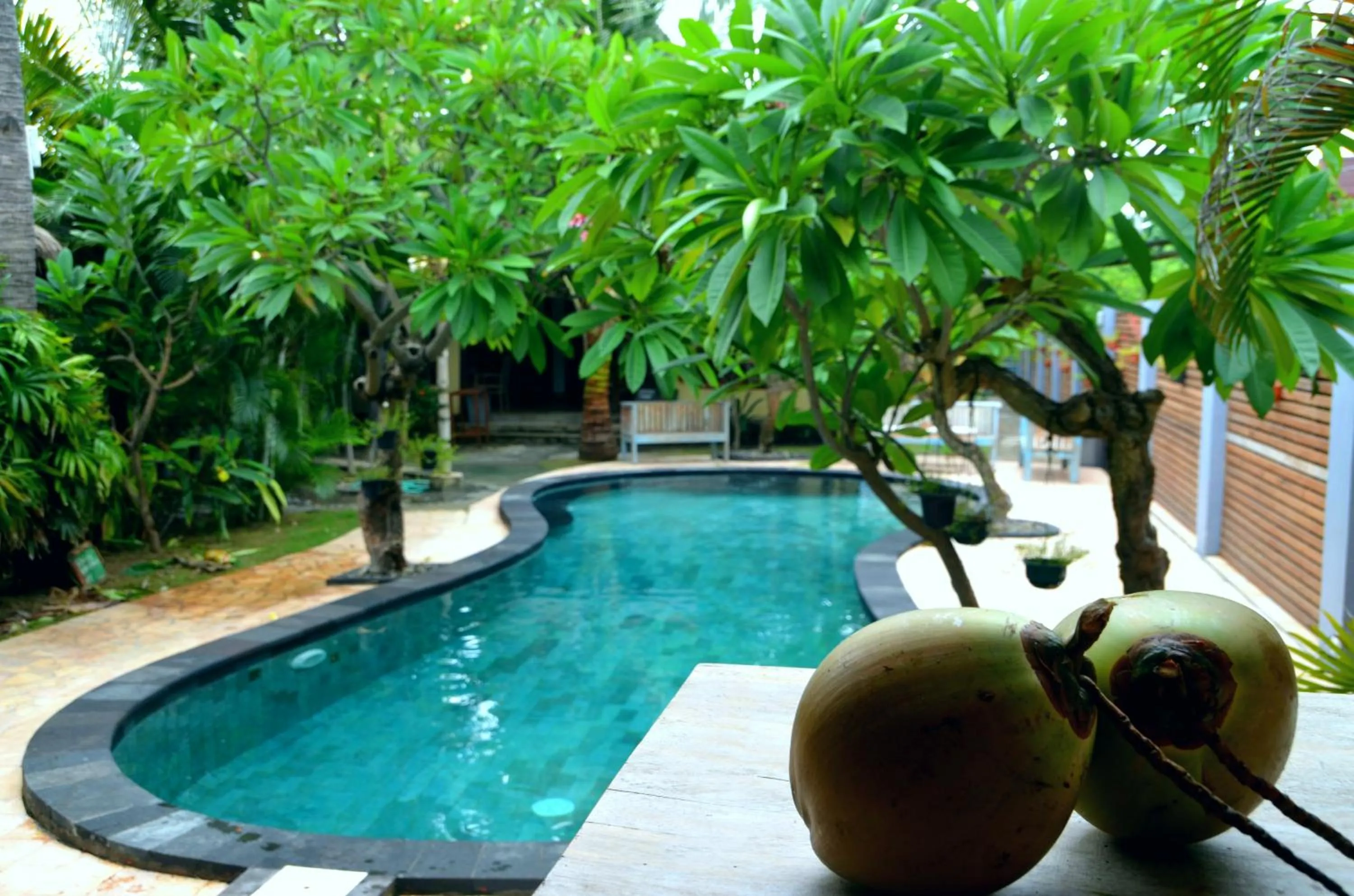 Pool view in Coconut Dream