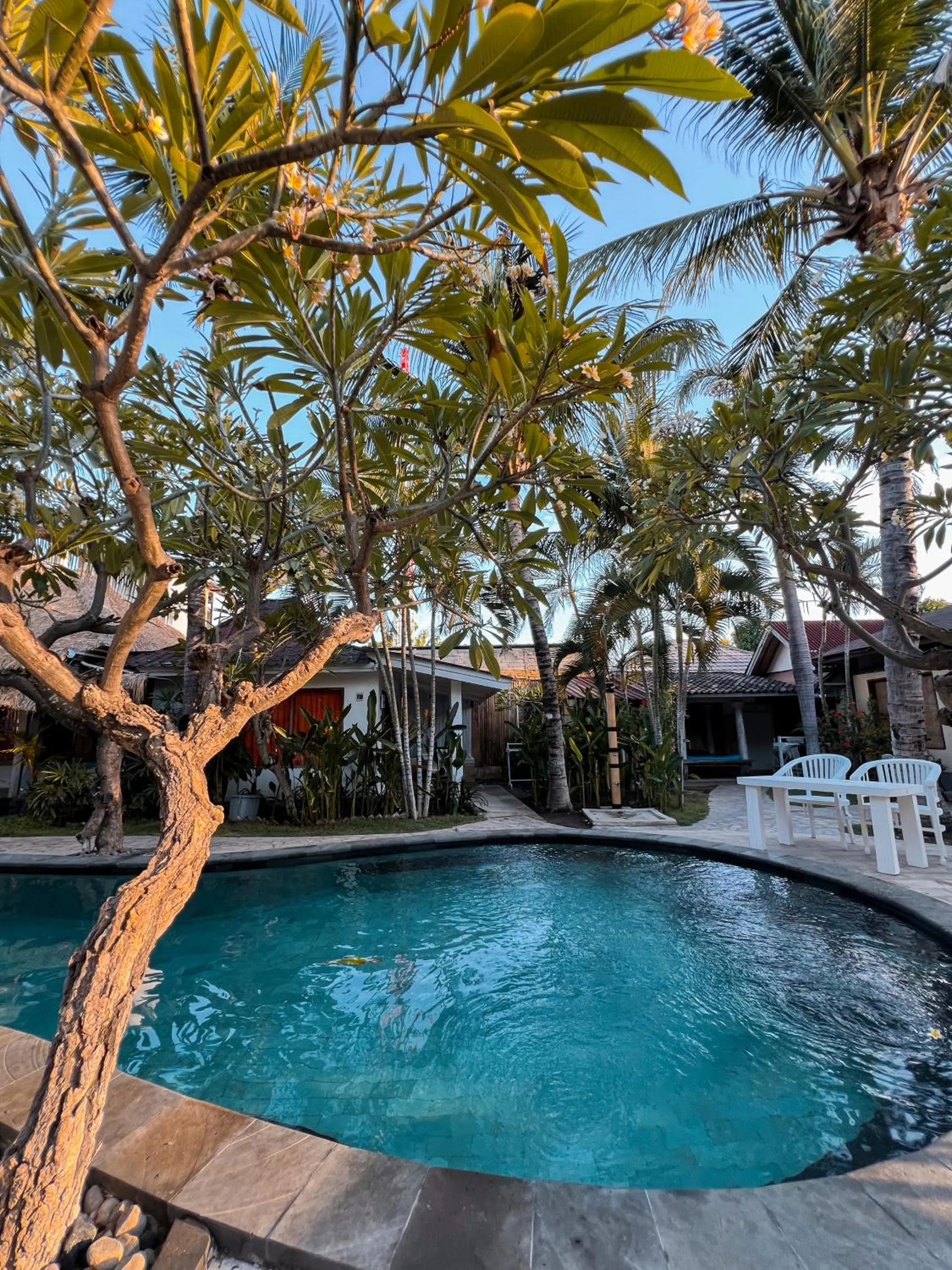 Property building in Coconut Dream