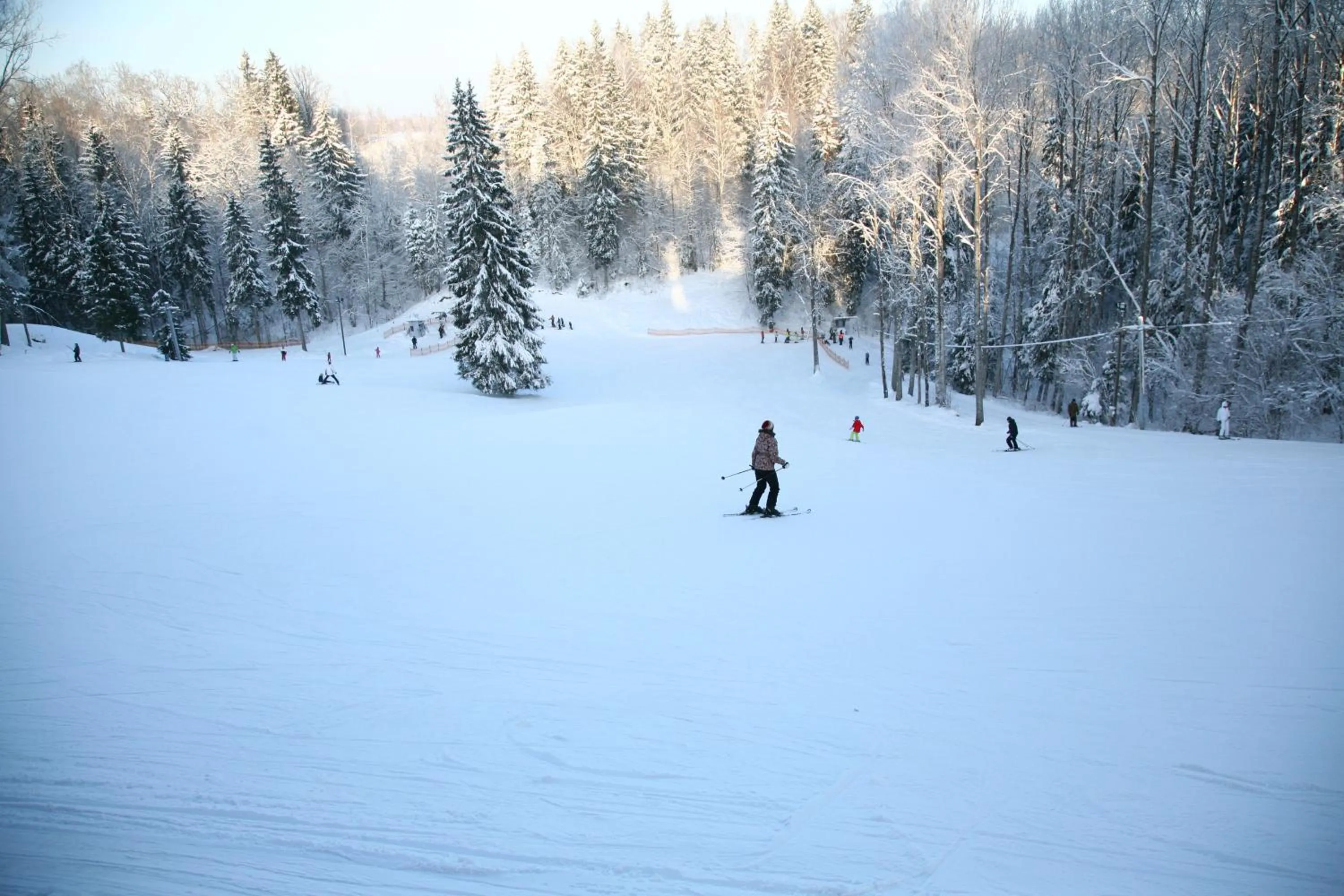 Neighbourhood in Reinis