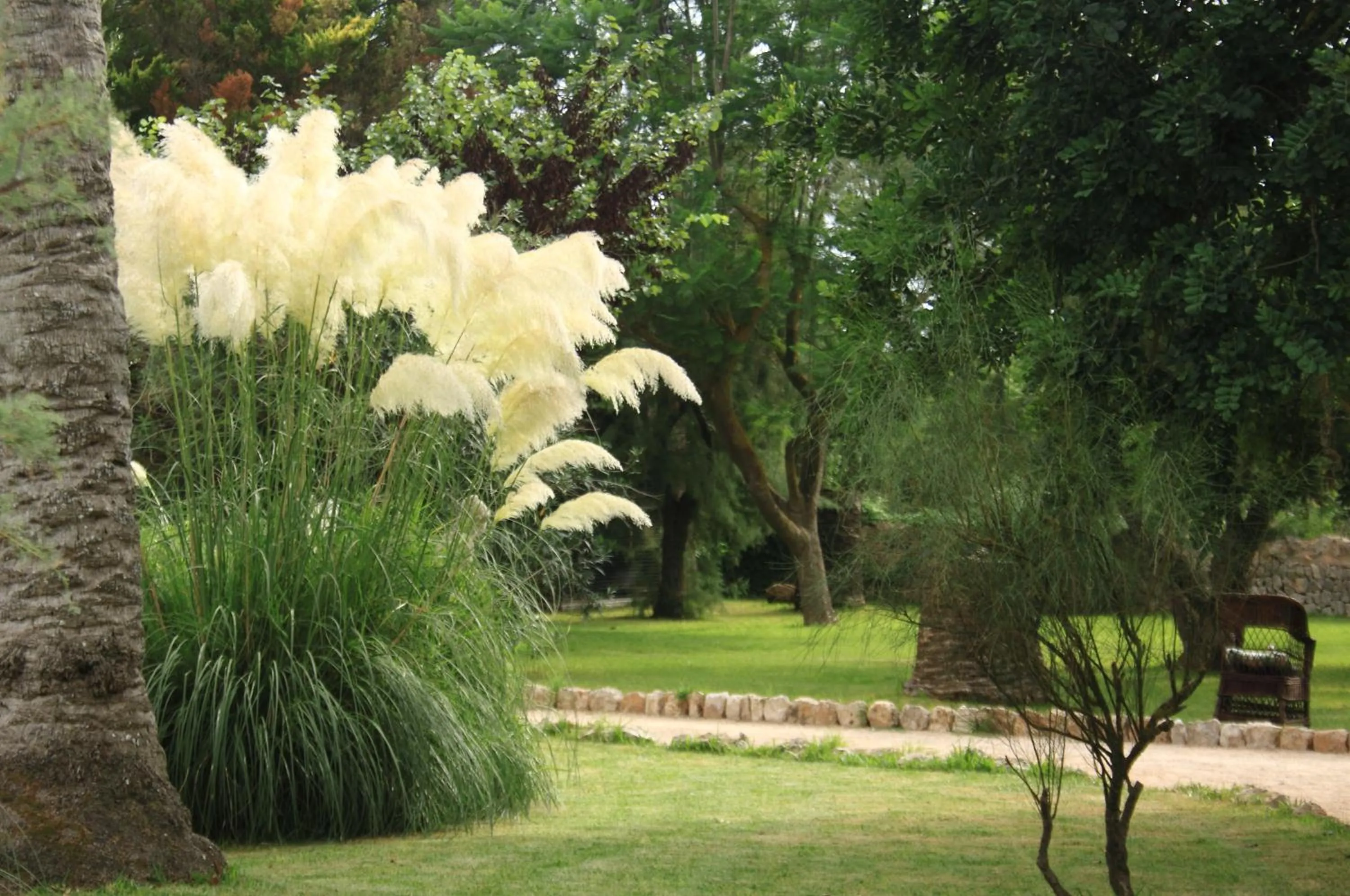 Garden in Petit Hotel Es Figueral