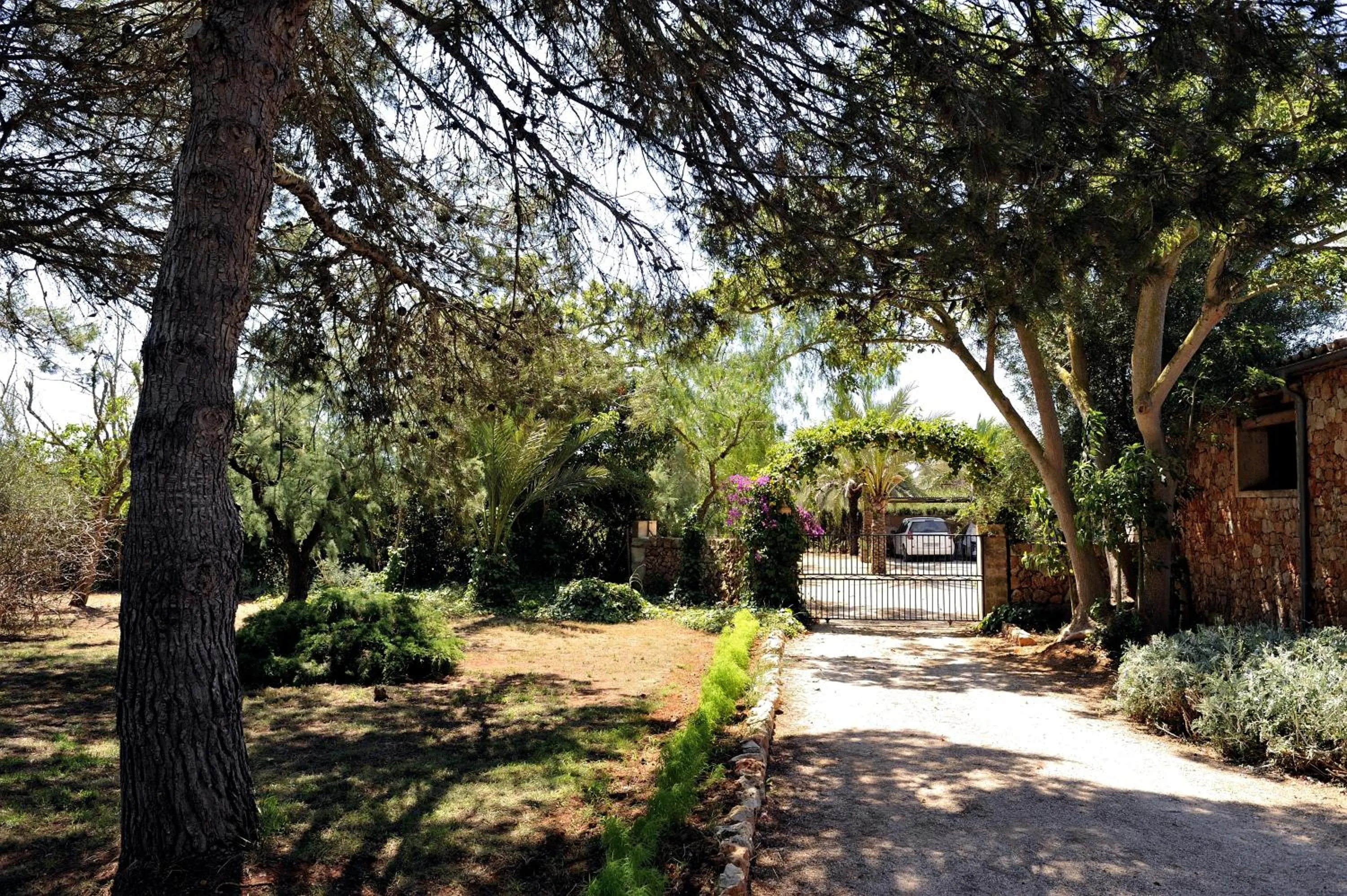 Garden in Petit Hotel Es Figueral