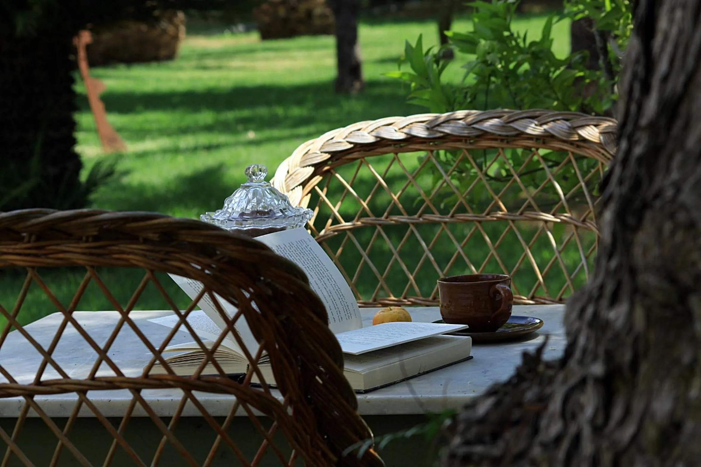 Restaurant/places to eat in Petit Hotel Es Figueral