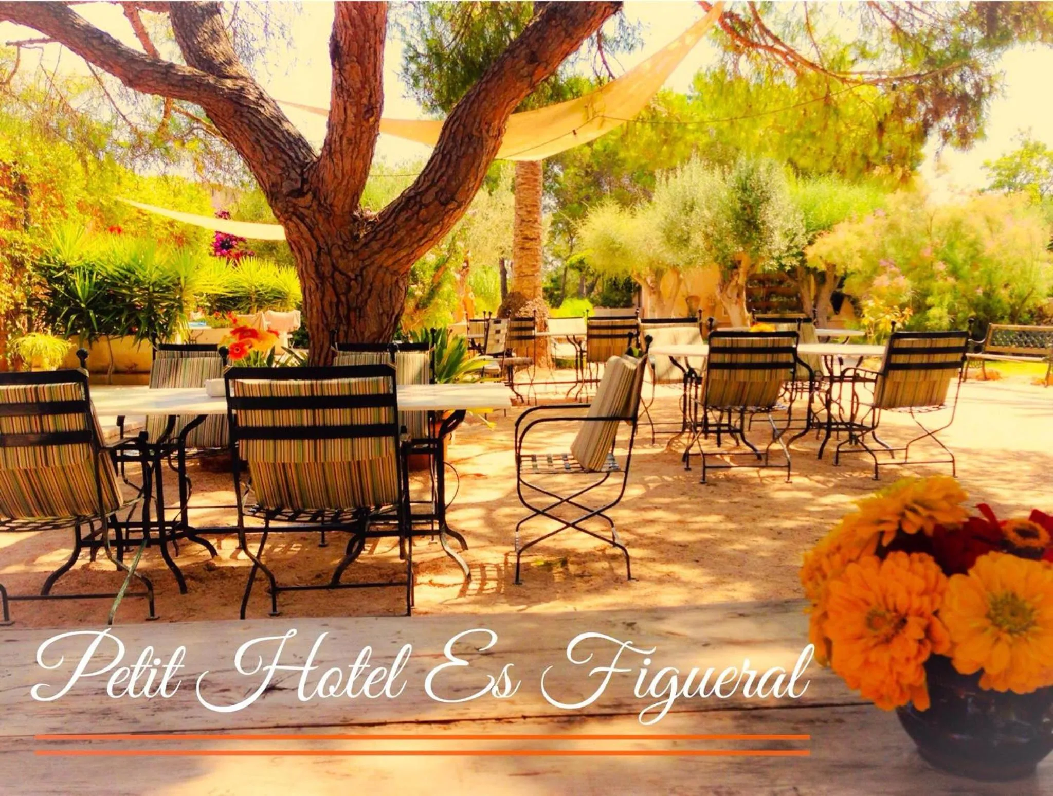Patio in Petit Hotel Es Figueral