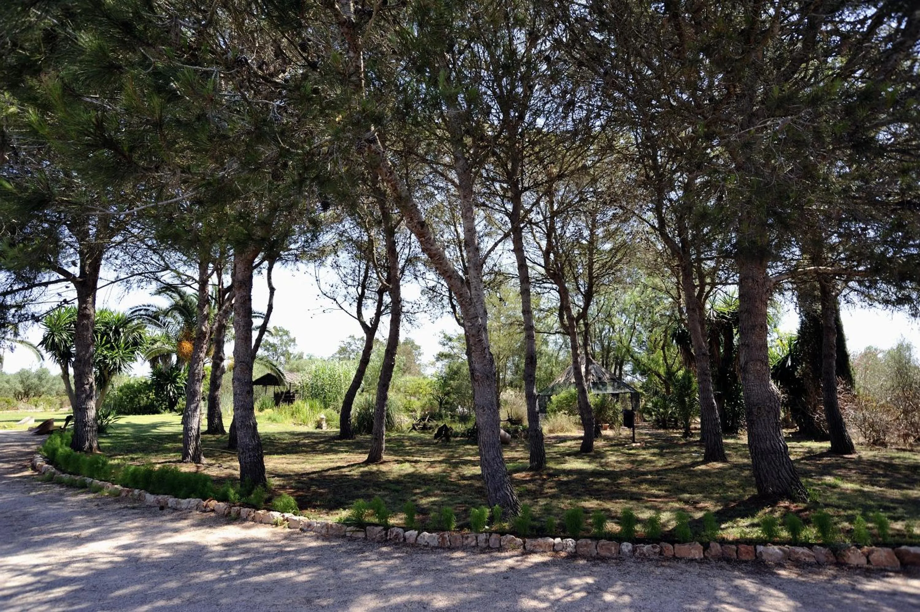 Garden in Petit Hotel Es Figueral