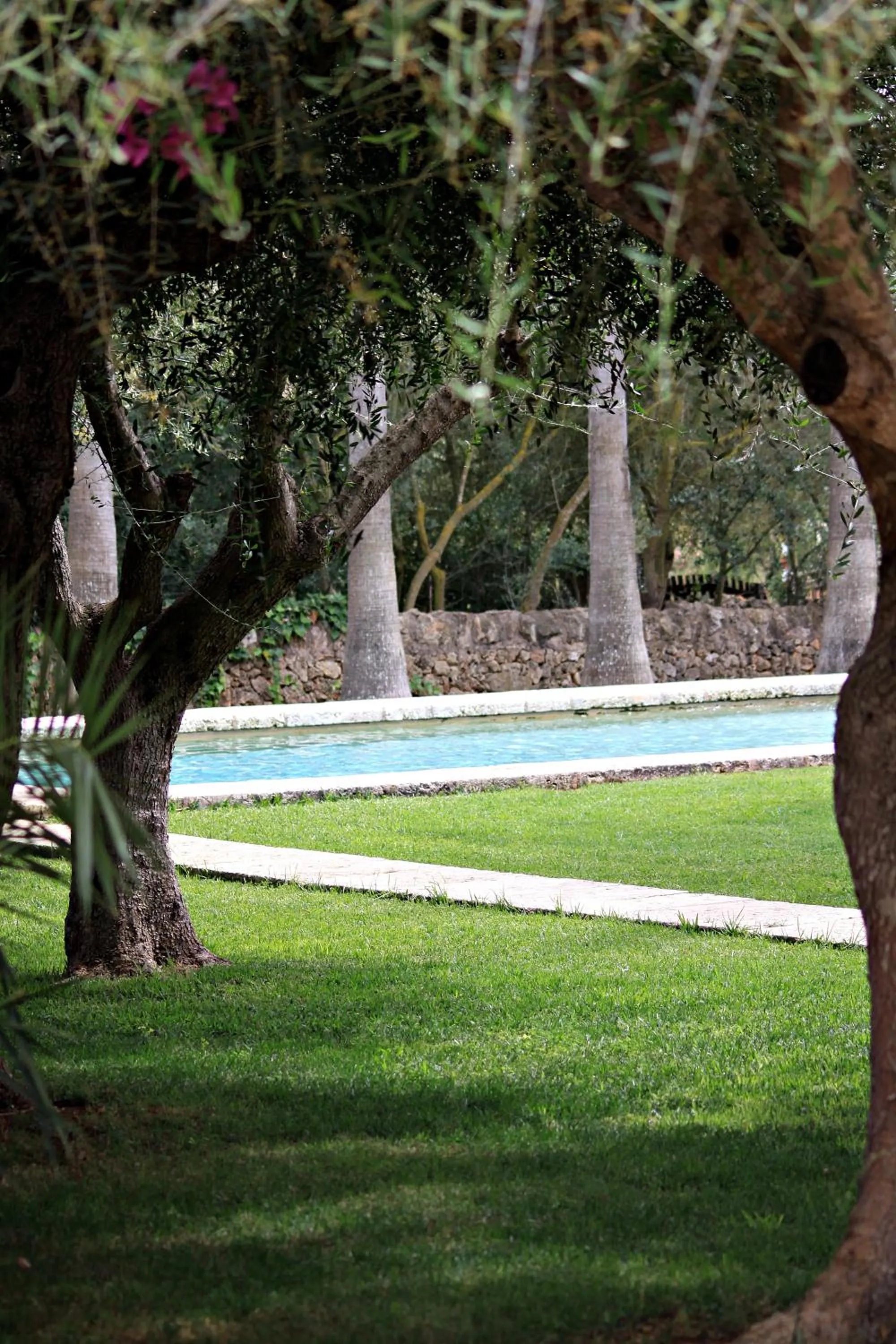 Swimming pool in Petit Hotel Es Figueral