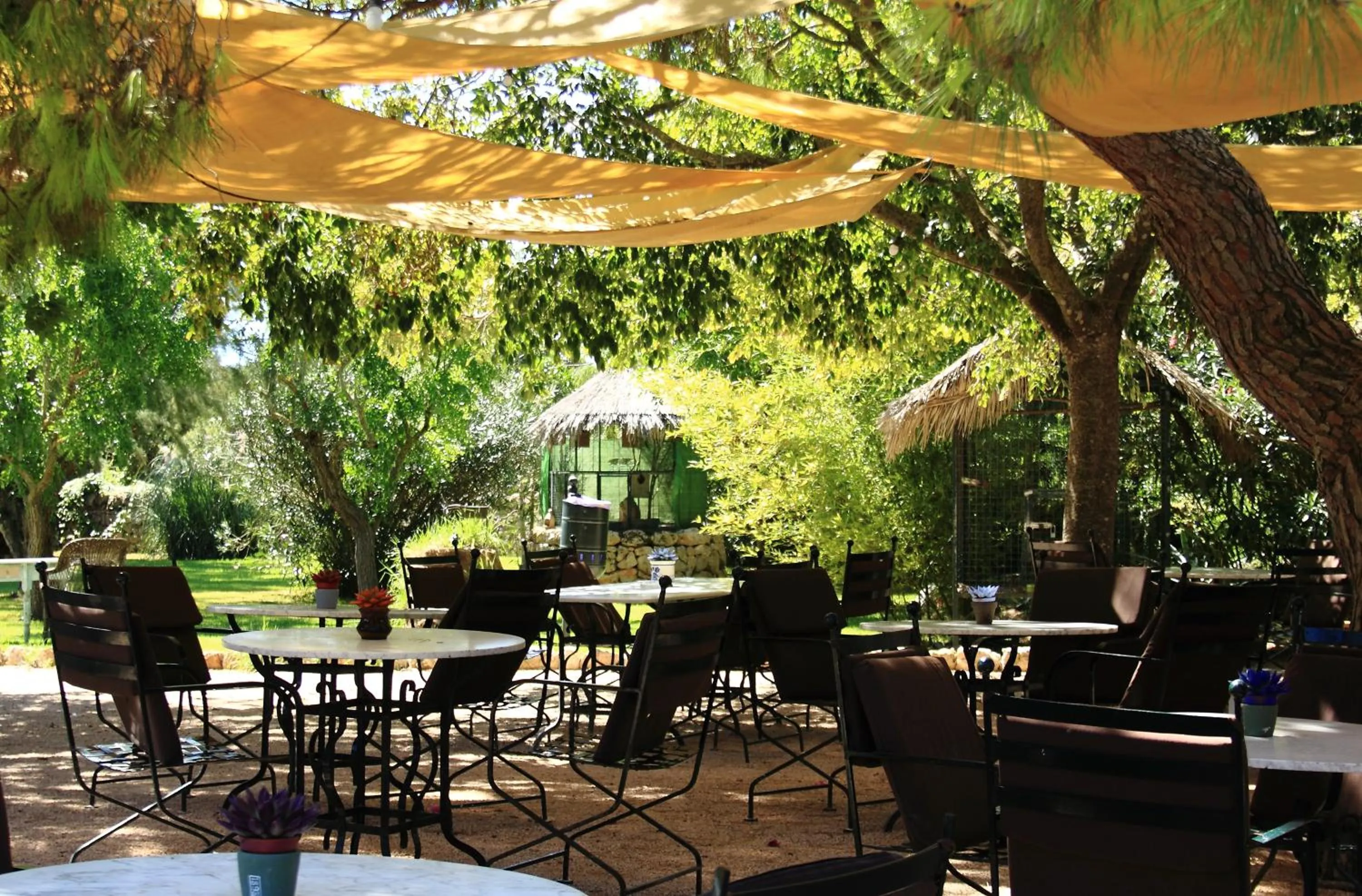 Patio in Petit Hotel Es Figueral