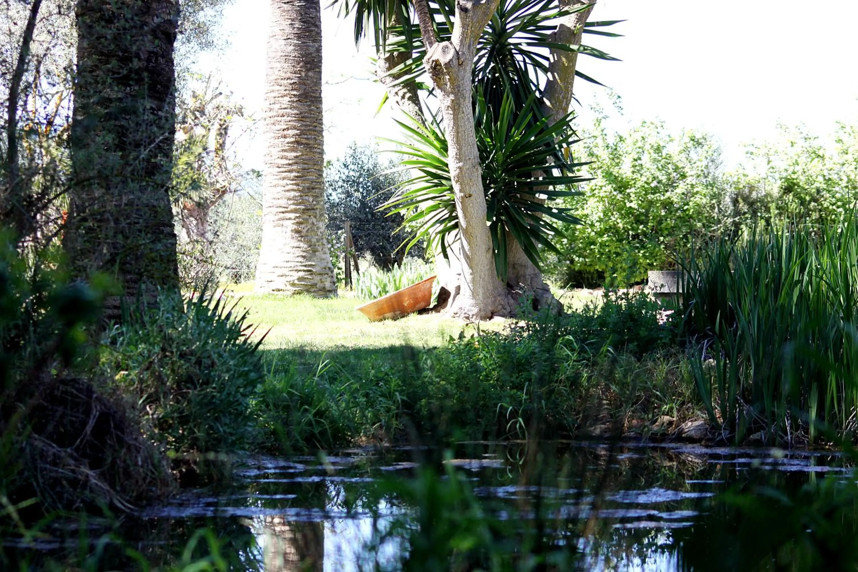 Garden in Petit Hotel Es Figueral