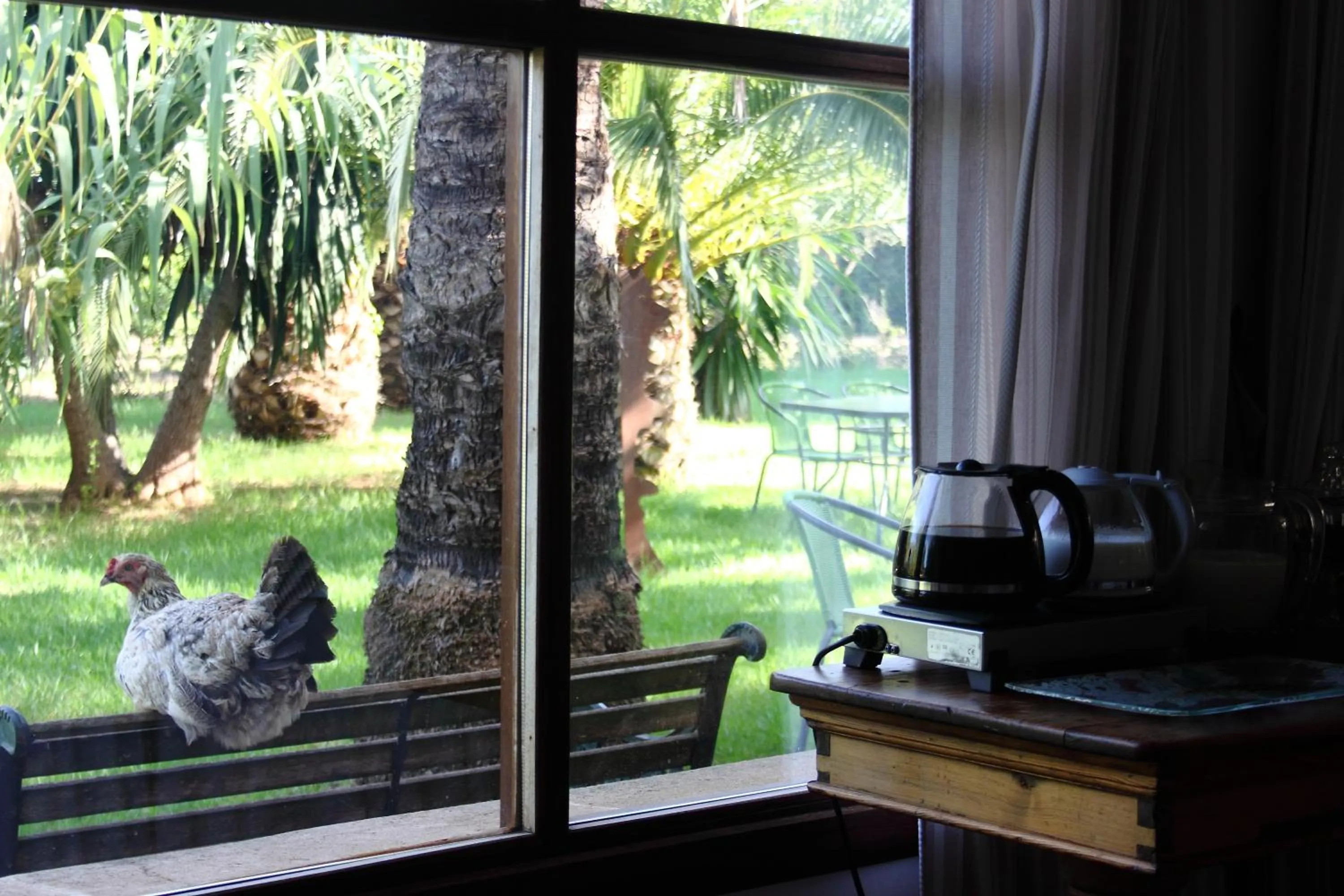 Pets in Petit Hotel Es Figueral