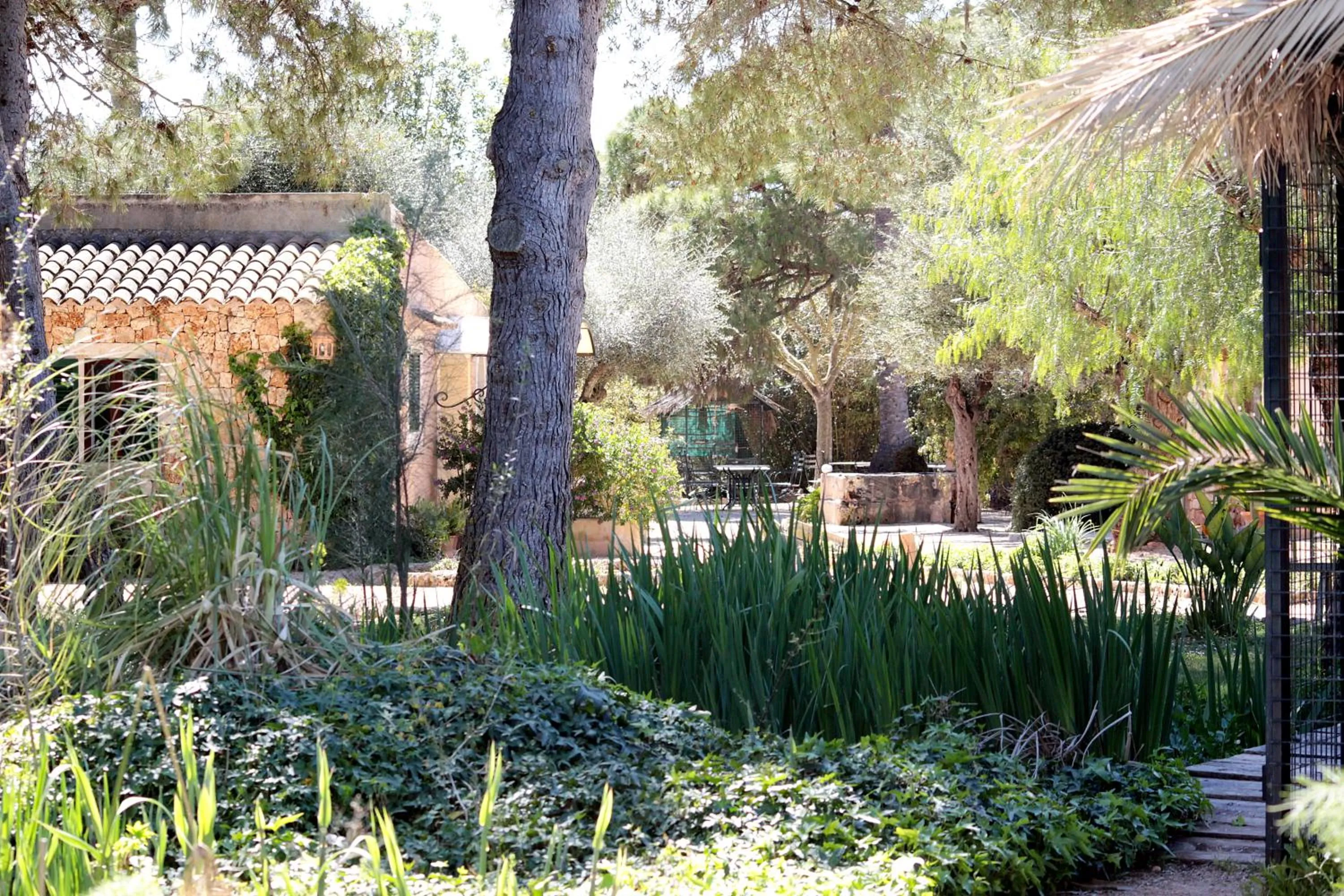 Garden in Petit Hotel Es Figueral