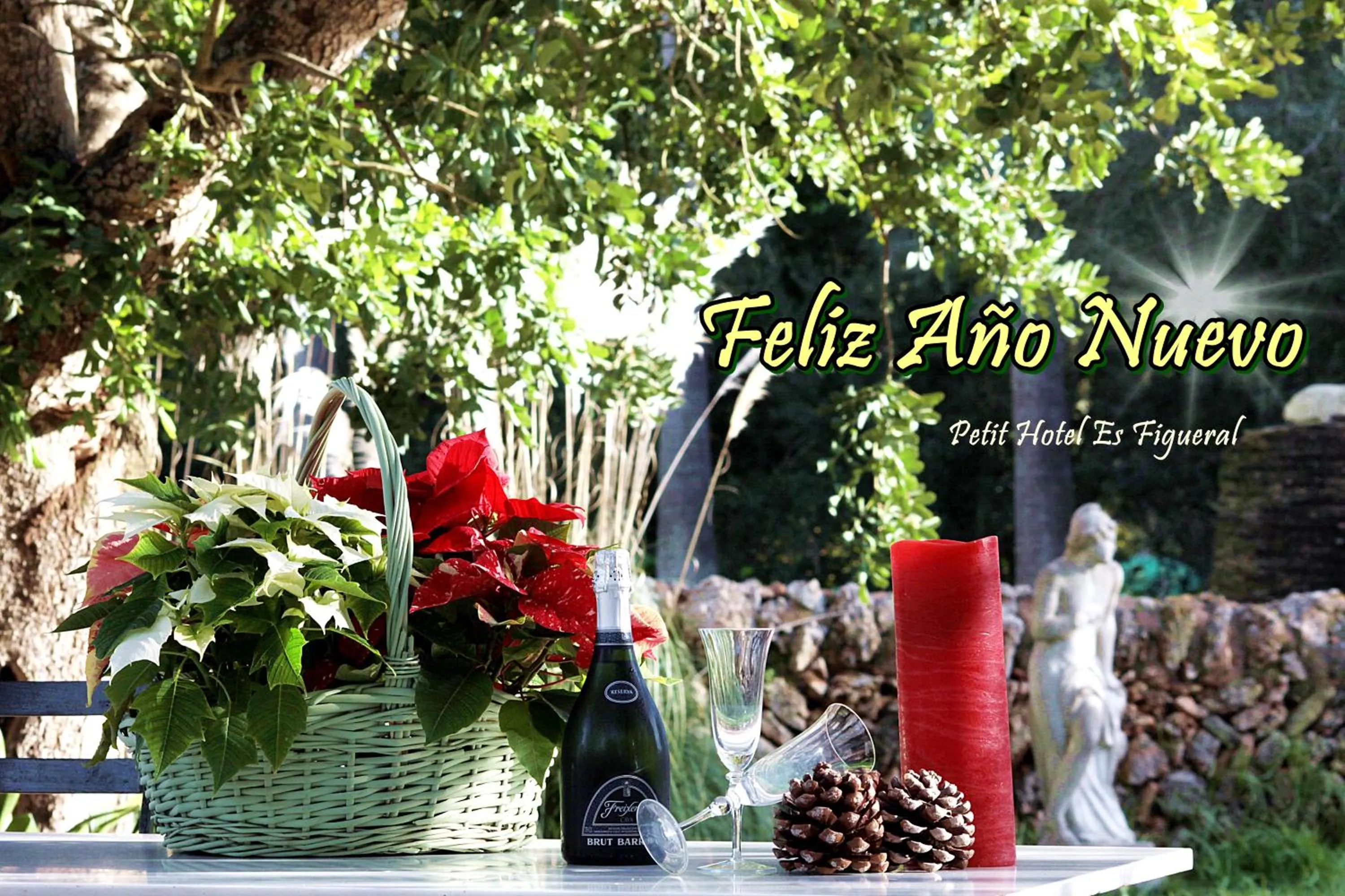 Garden in Petit Hotel Es Figueral