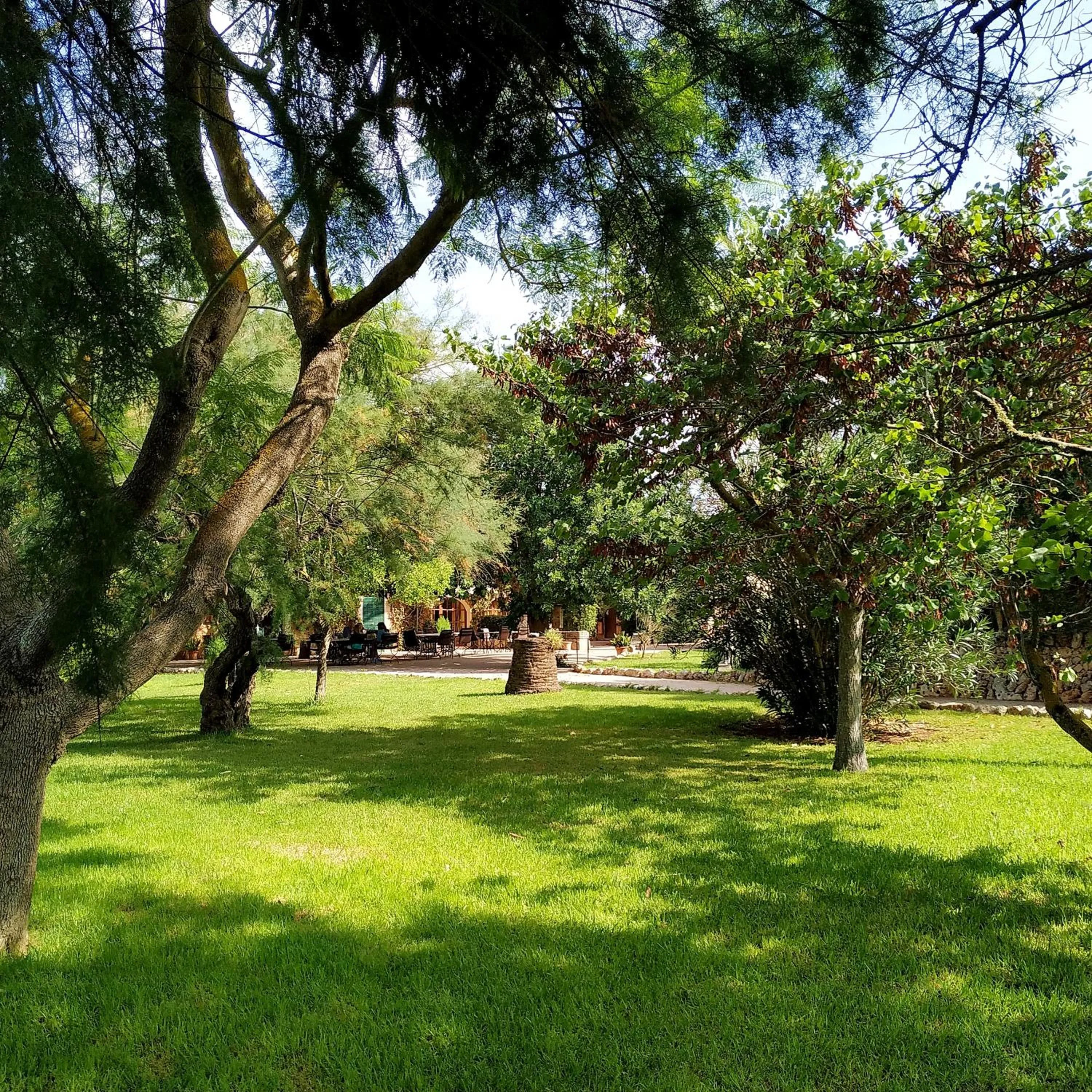 Garden in Petit Hotel Es Figueral