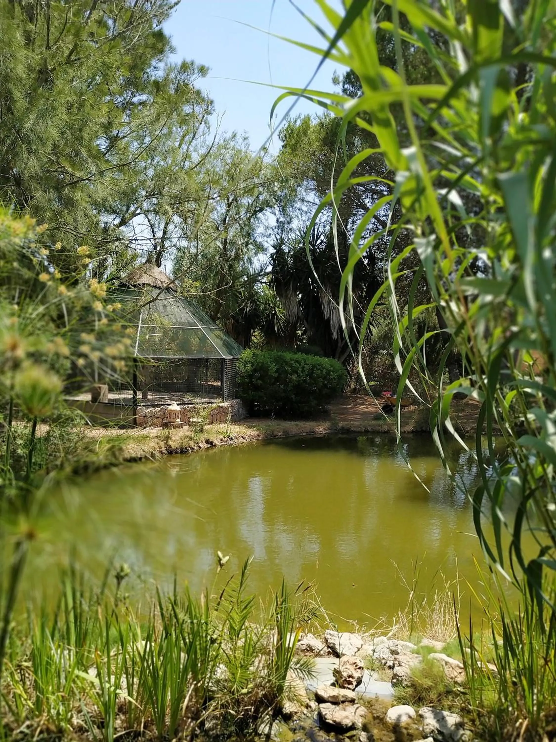Garden in Petit Hotel Es Figueral