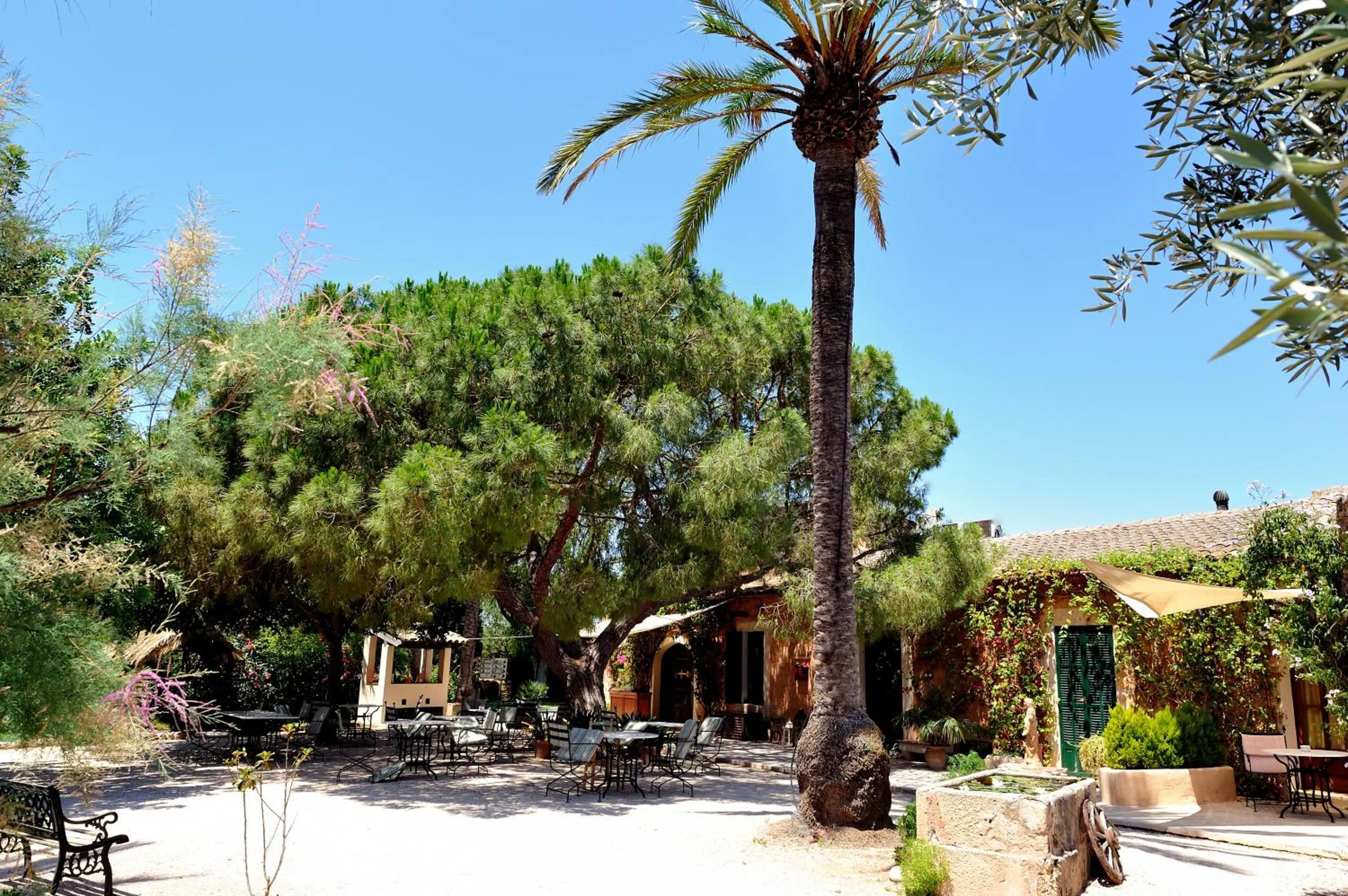 Patio in Petit Hotel Es Figueral