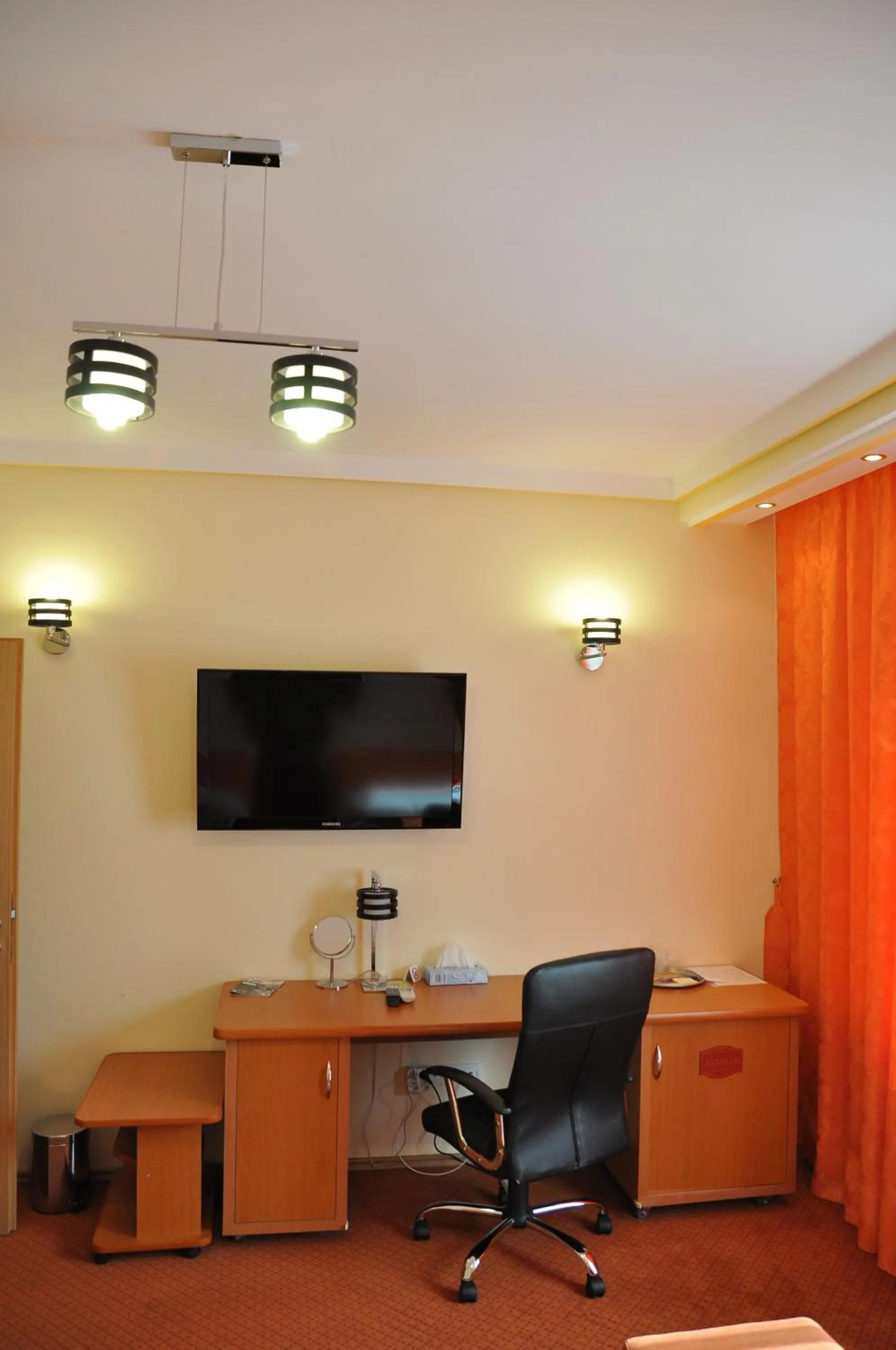 TV and multimedia in Pensiunea President