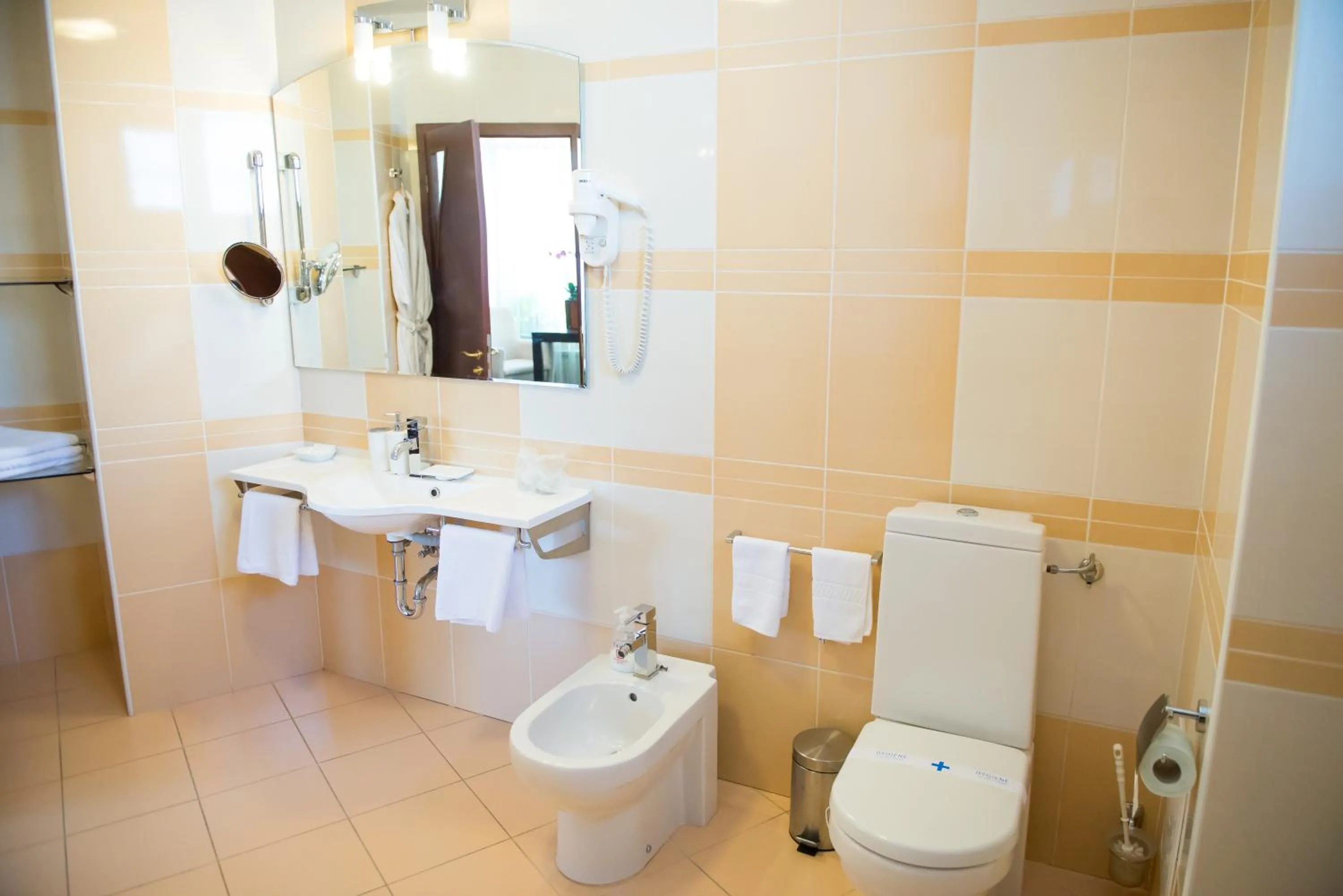 Bathroom in Pensiunea President