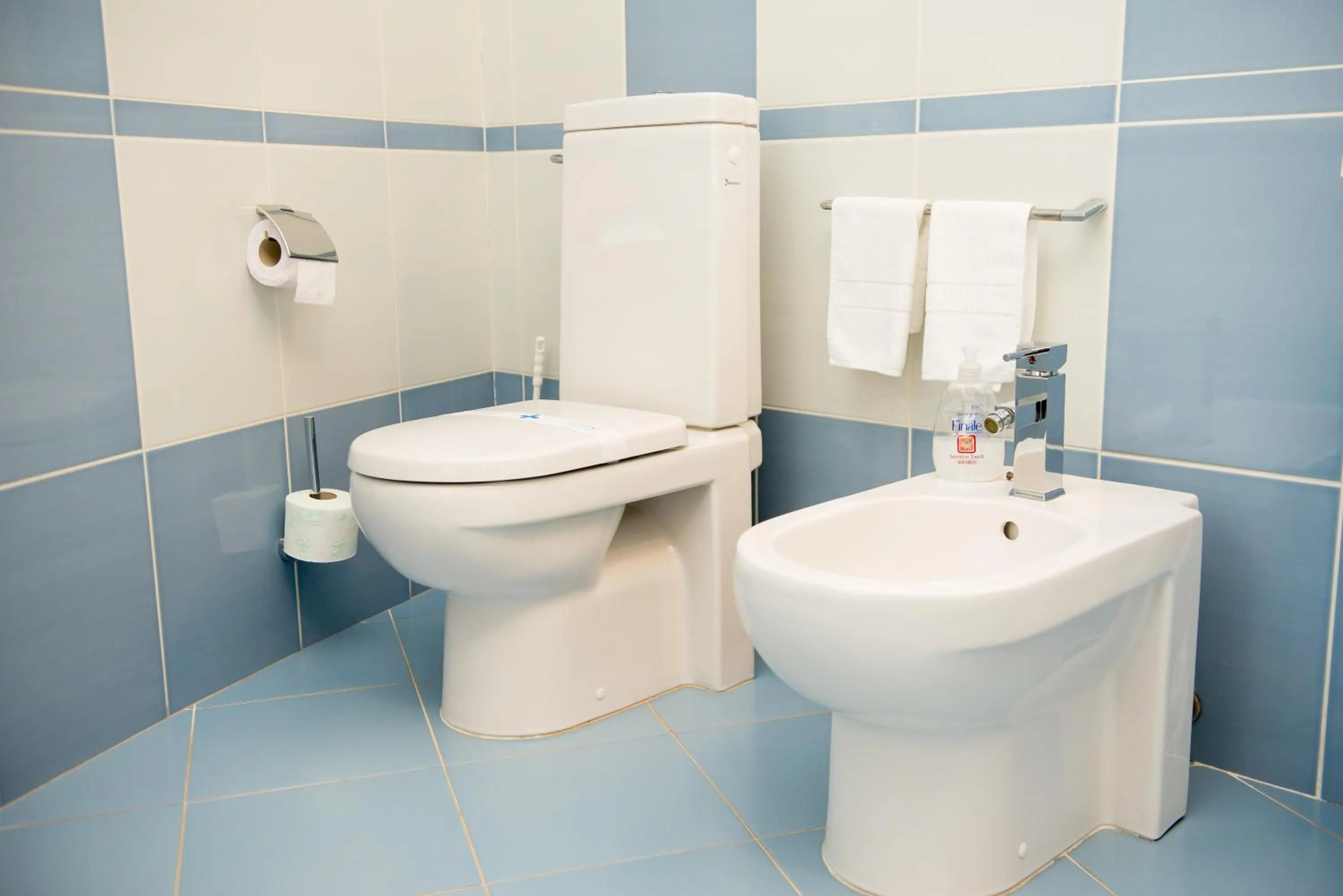 Toilet in Pensiunea President