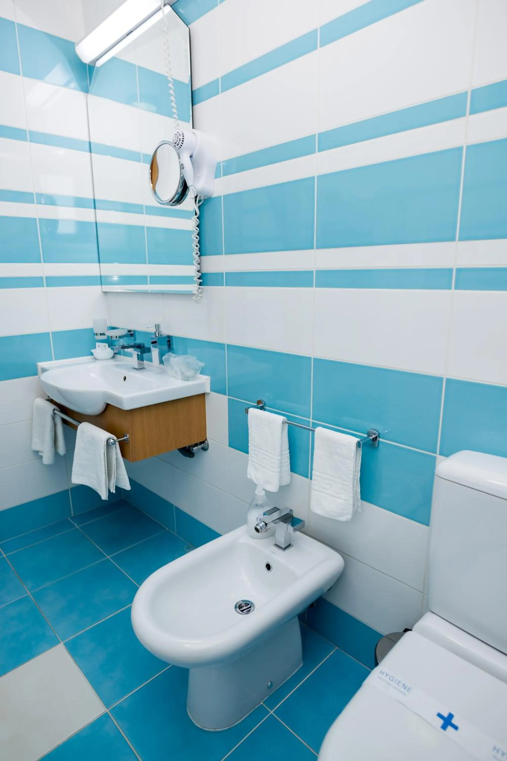 Toilet in Pensiunea President