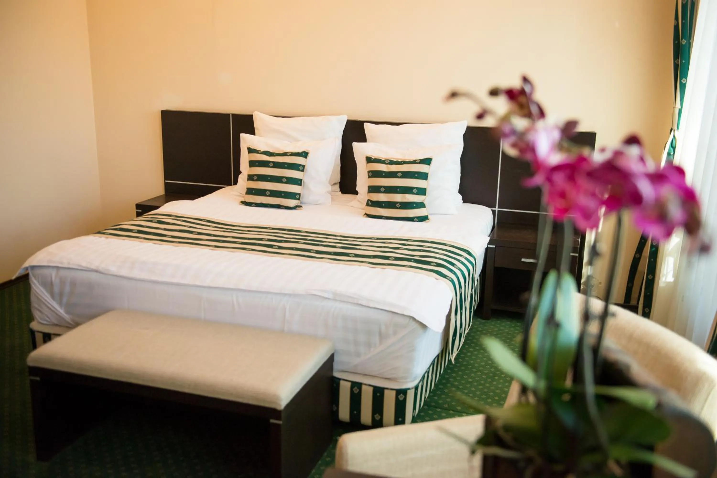 Bed in Pensiunea President