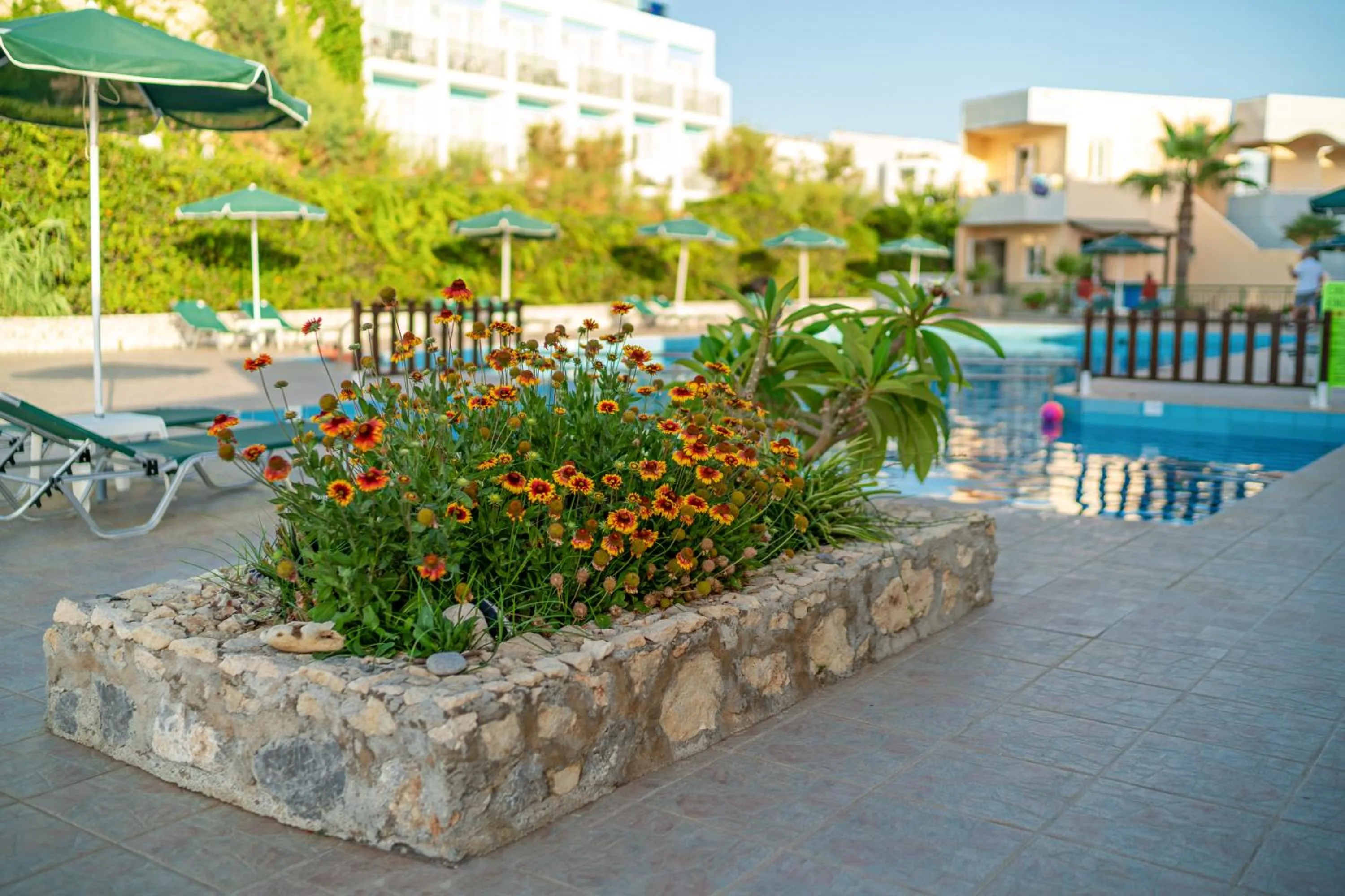 Garden in Hotel Kathrin Beach