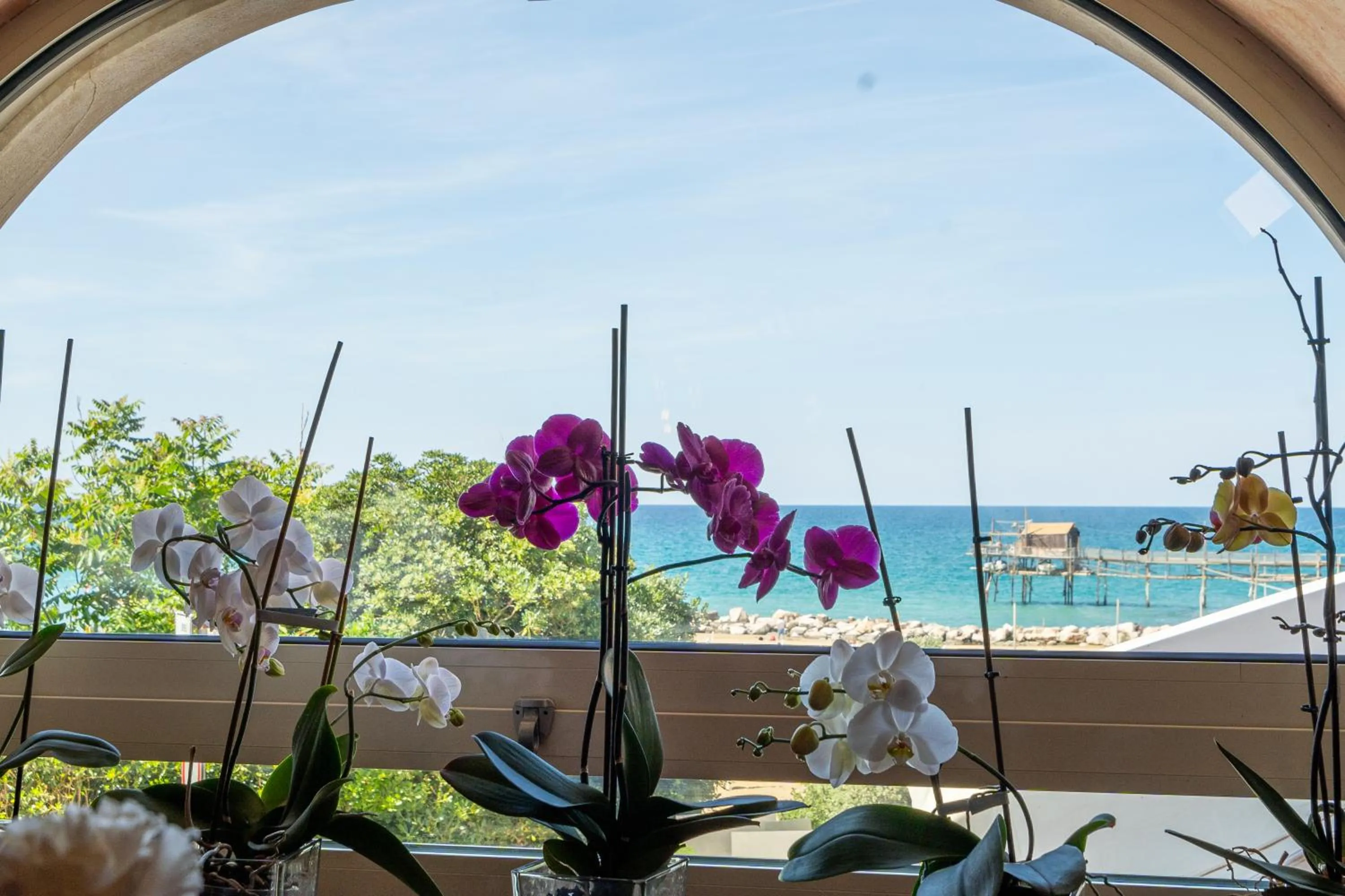 Natural landscape in Art Hotel Santa Lucia