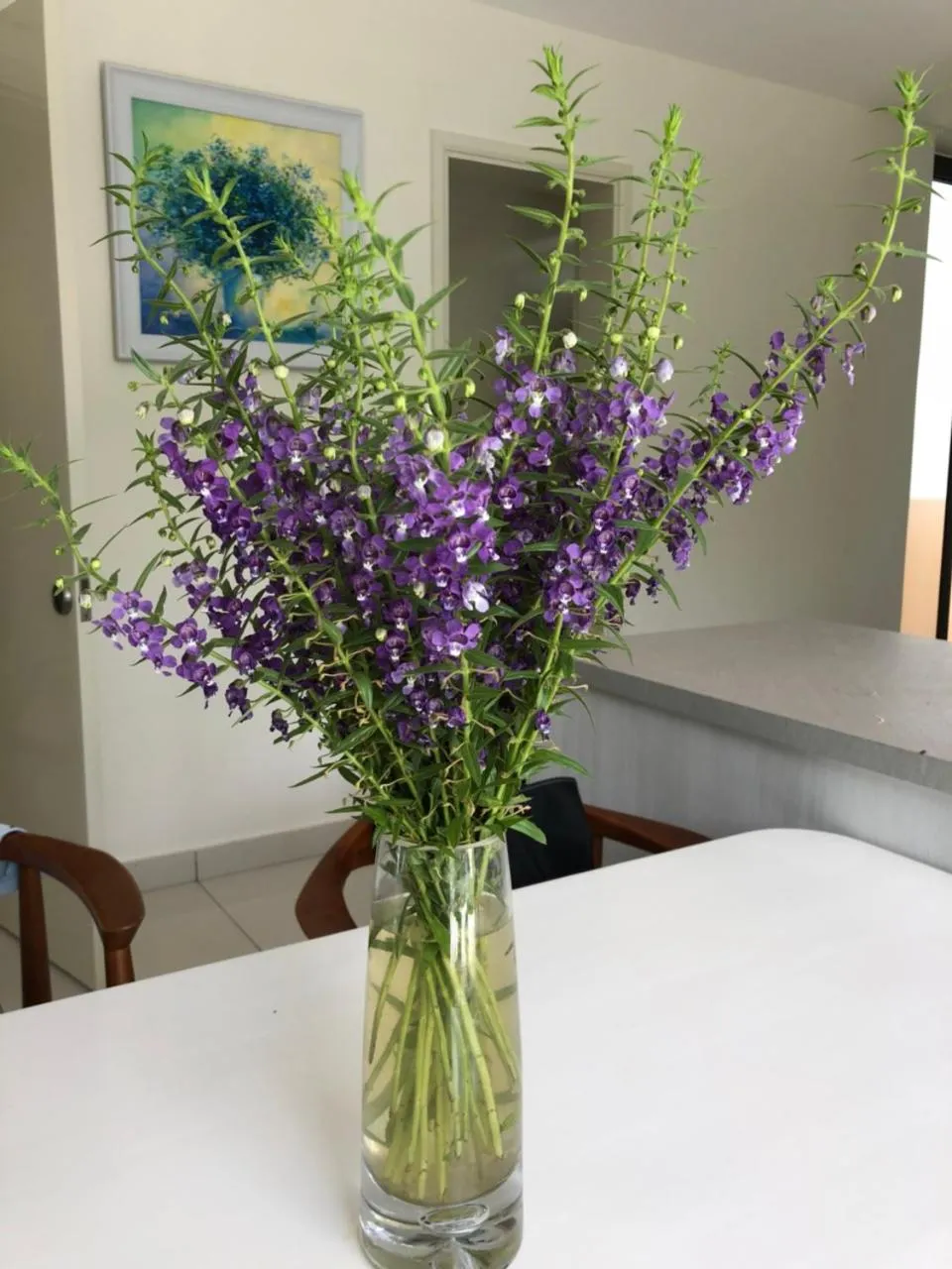 Villas at Oceanami Resort