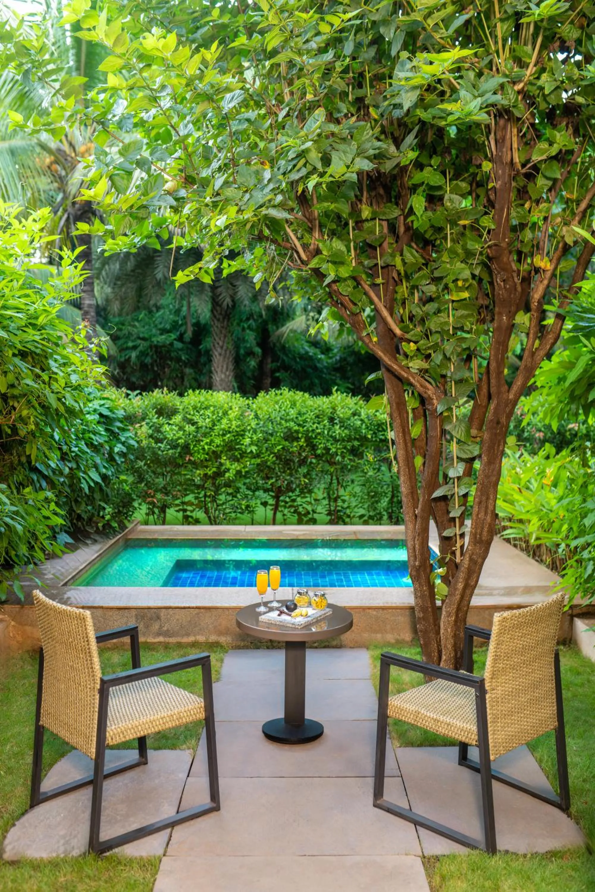 Pool view in Hyatt Place Hampi