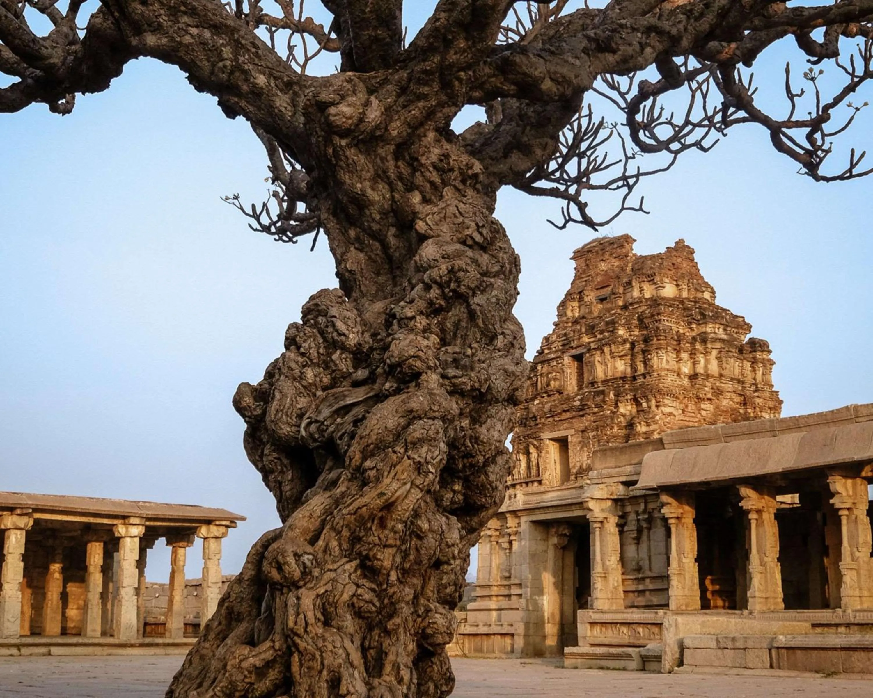 Location in Hyatt Place Hampi