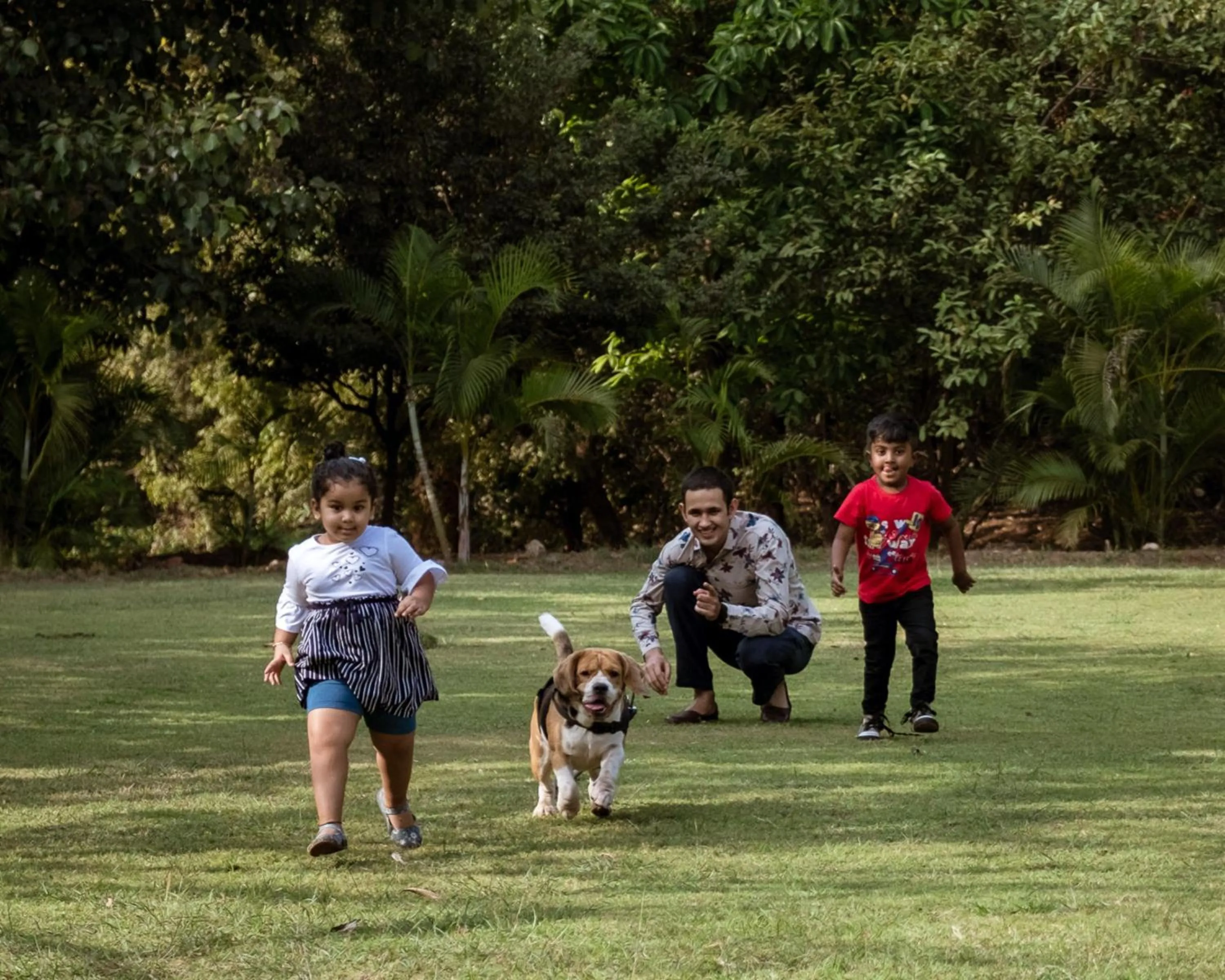 Pets in Hyatt Place Hampi