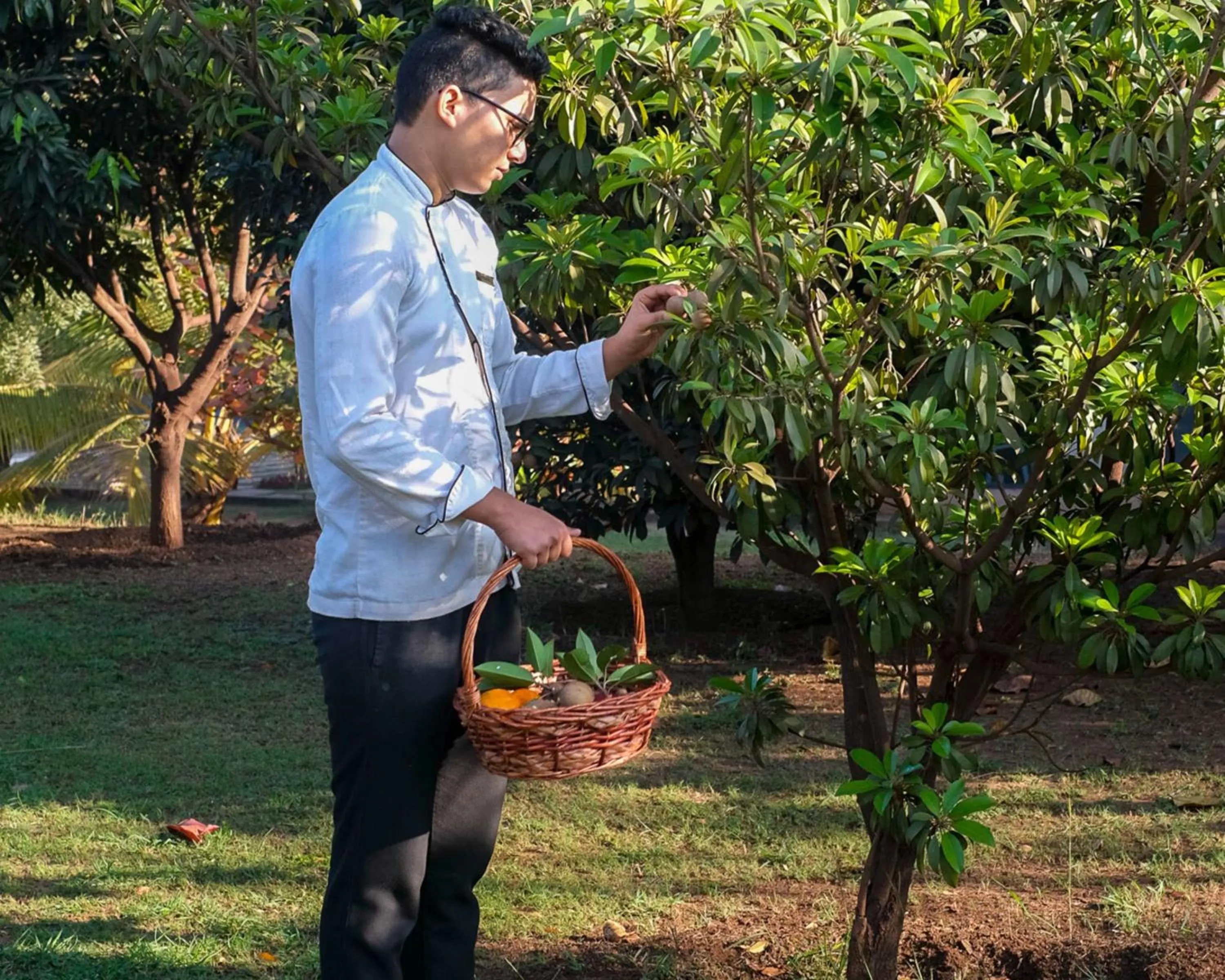 Garden in Hyatt Place Hampi