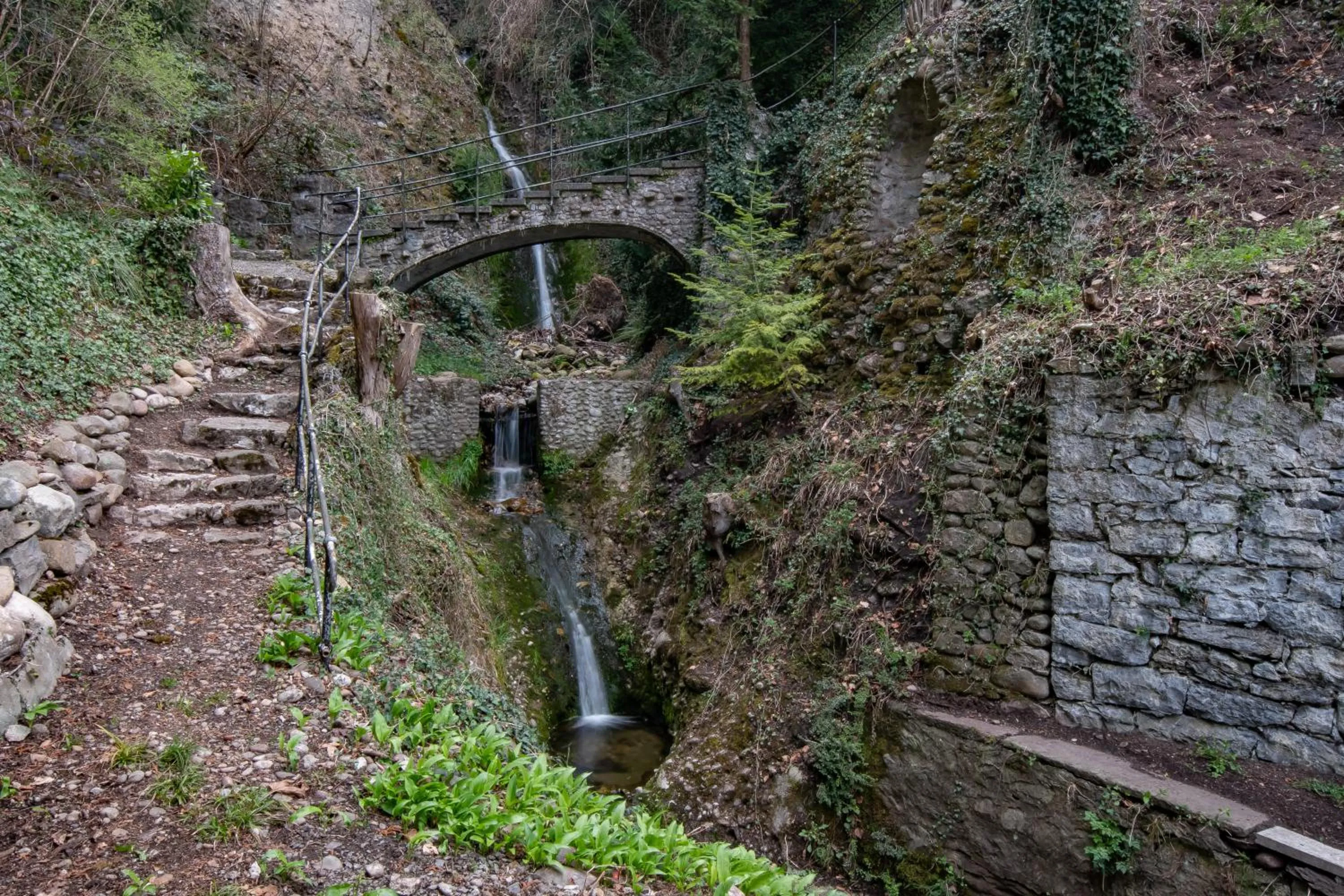Garden in Villa Pochon
