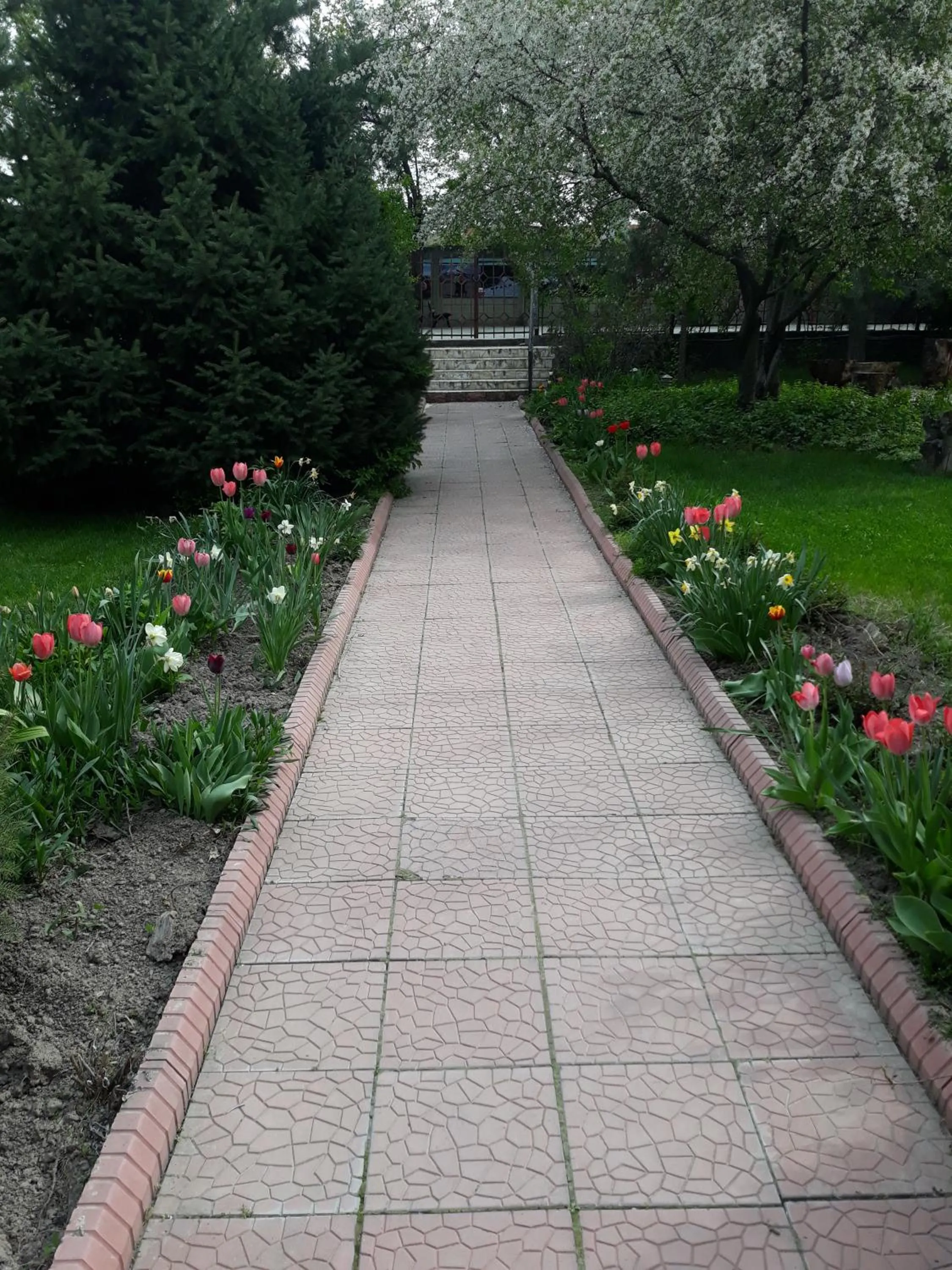 Spring in Asian Mountains