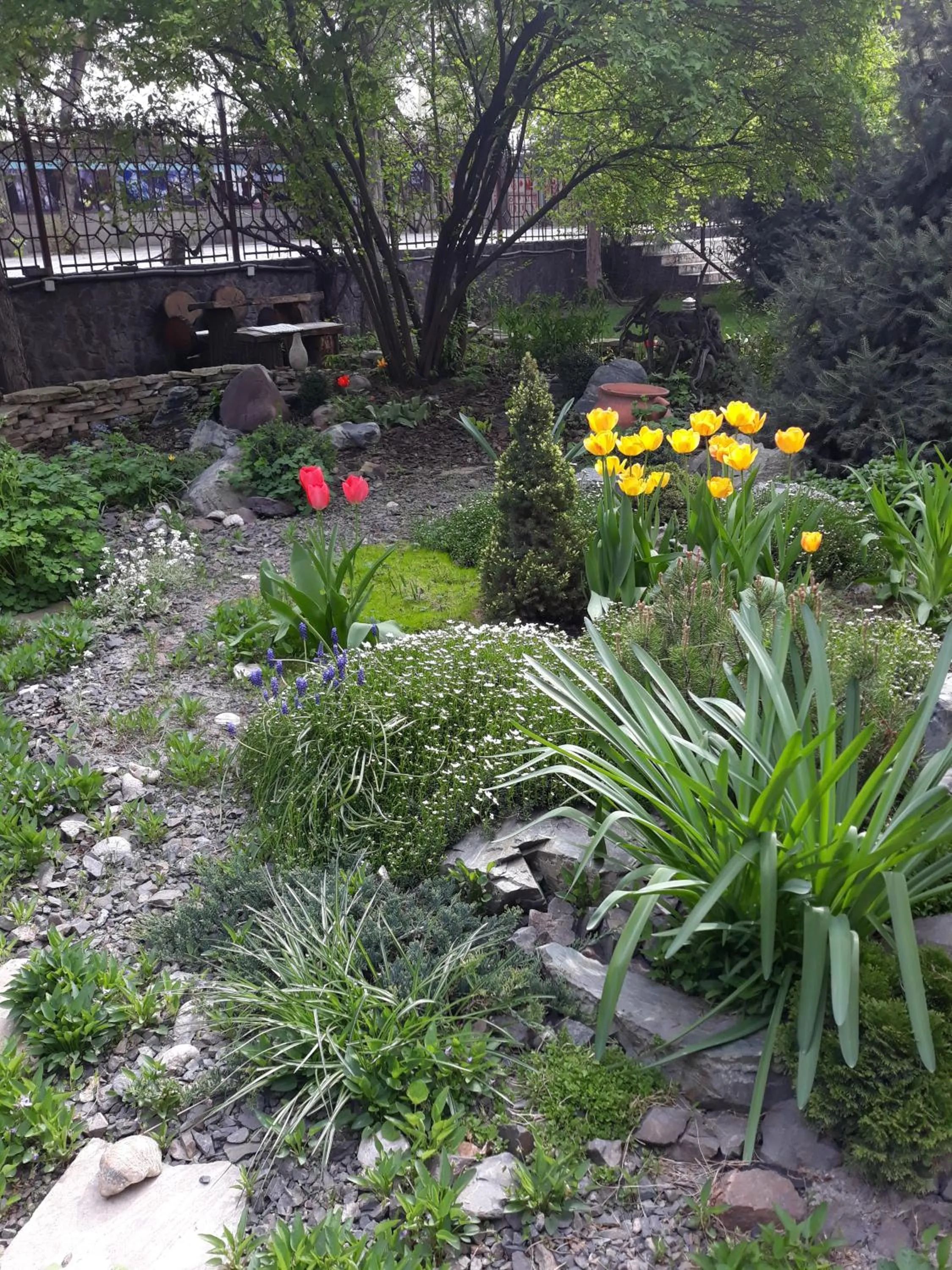 Spring in Asian Mountains