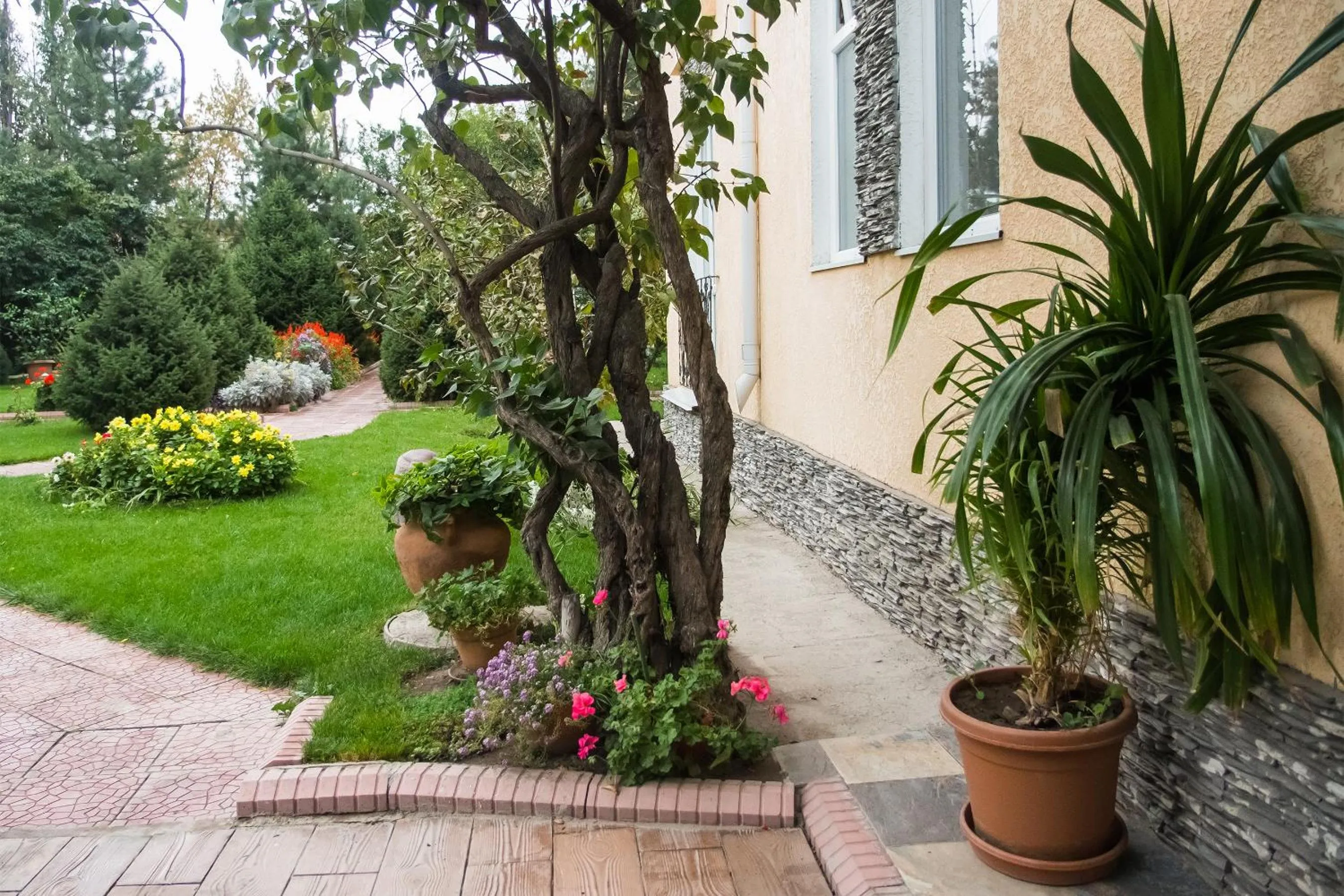 Off site in Asian Mountains