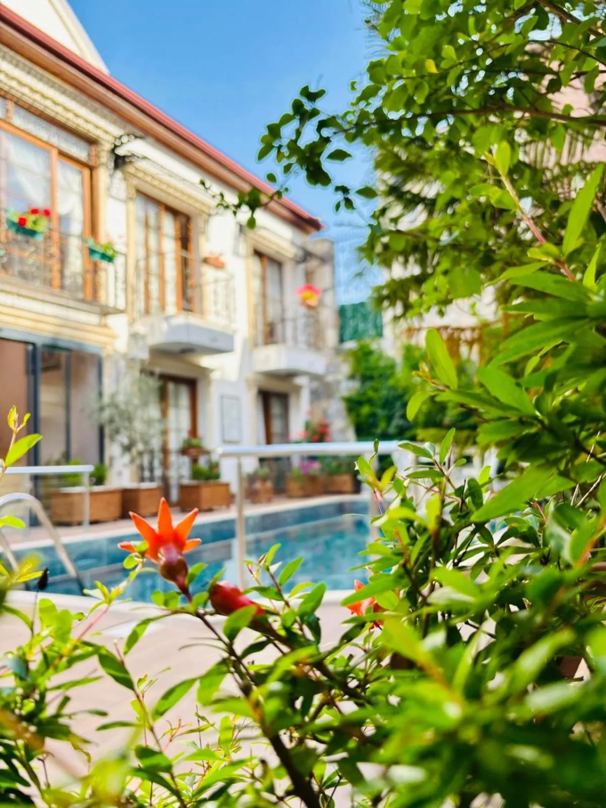 Swimming pool in Saint John Hotel