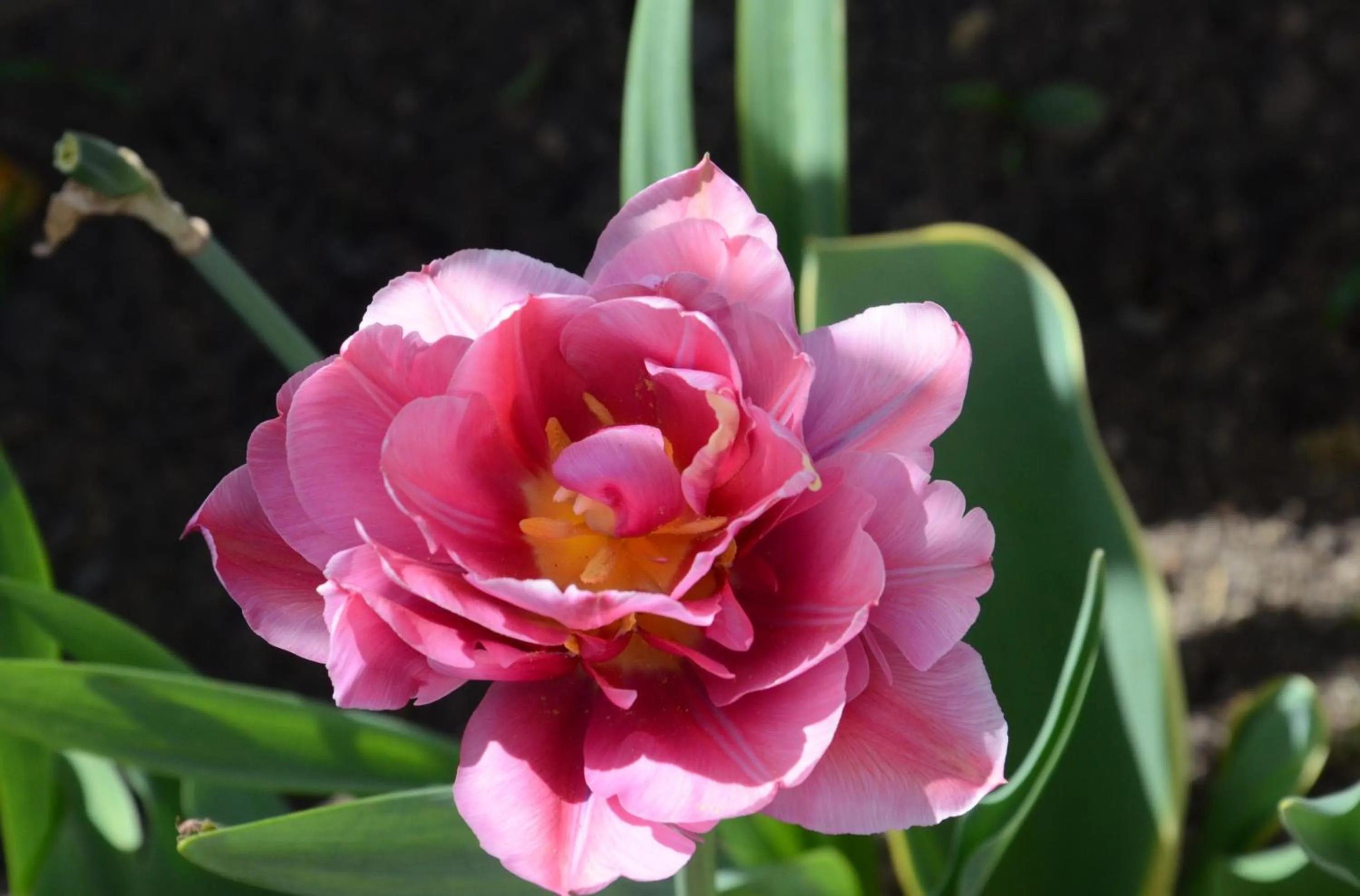 Garden in Asia Hotel